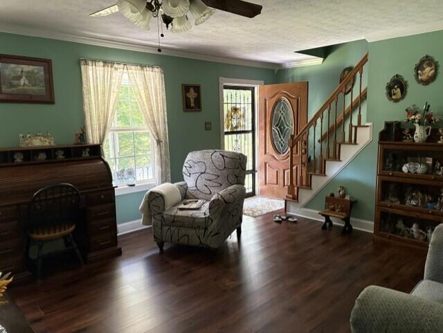 396 Spaulding Branch Road Property Photo 14
