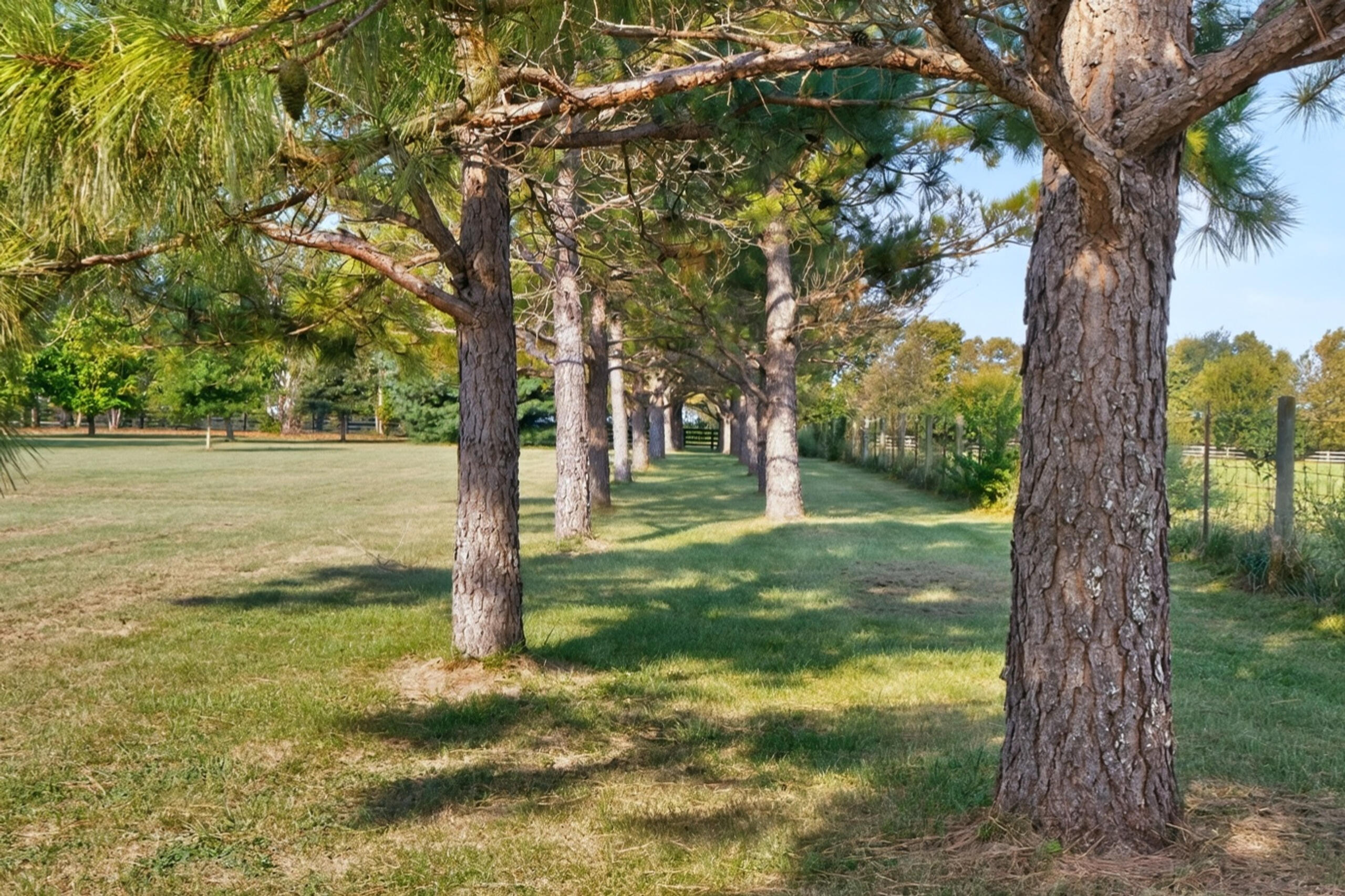1530 Bethlehem Road Property Photo 70