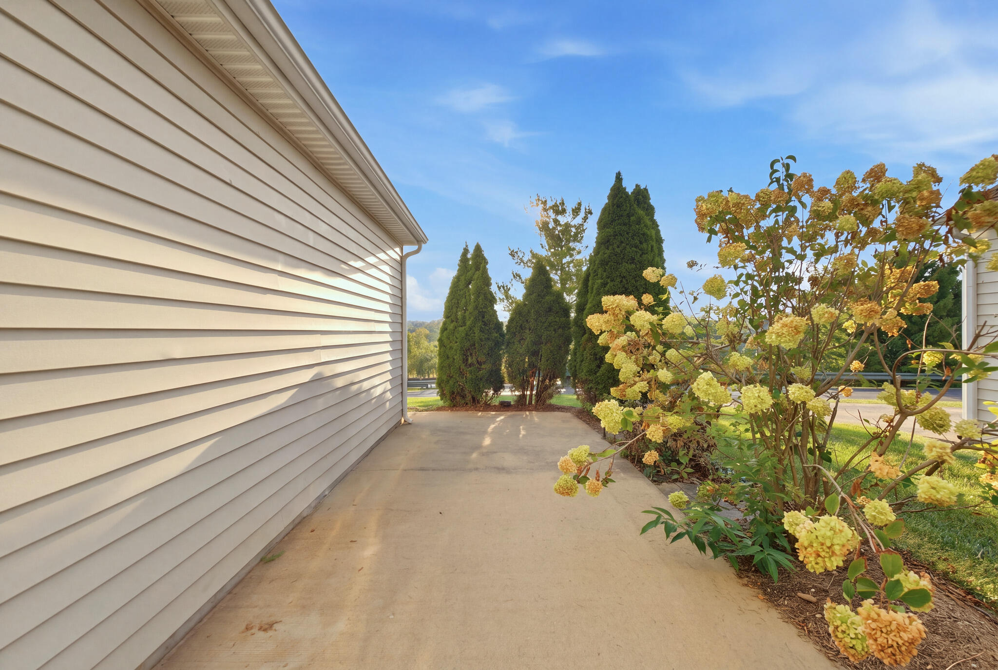 4229 Jasmine Rose Way Property Photo 24