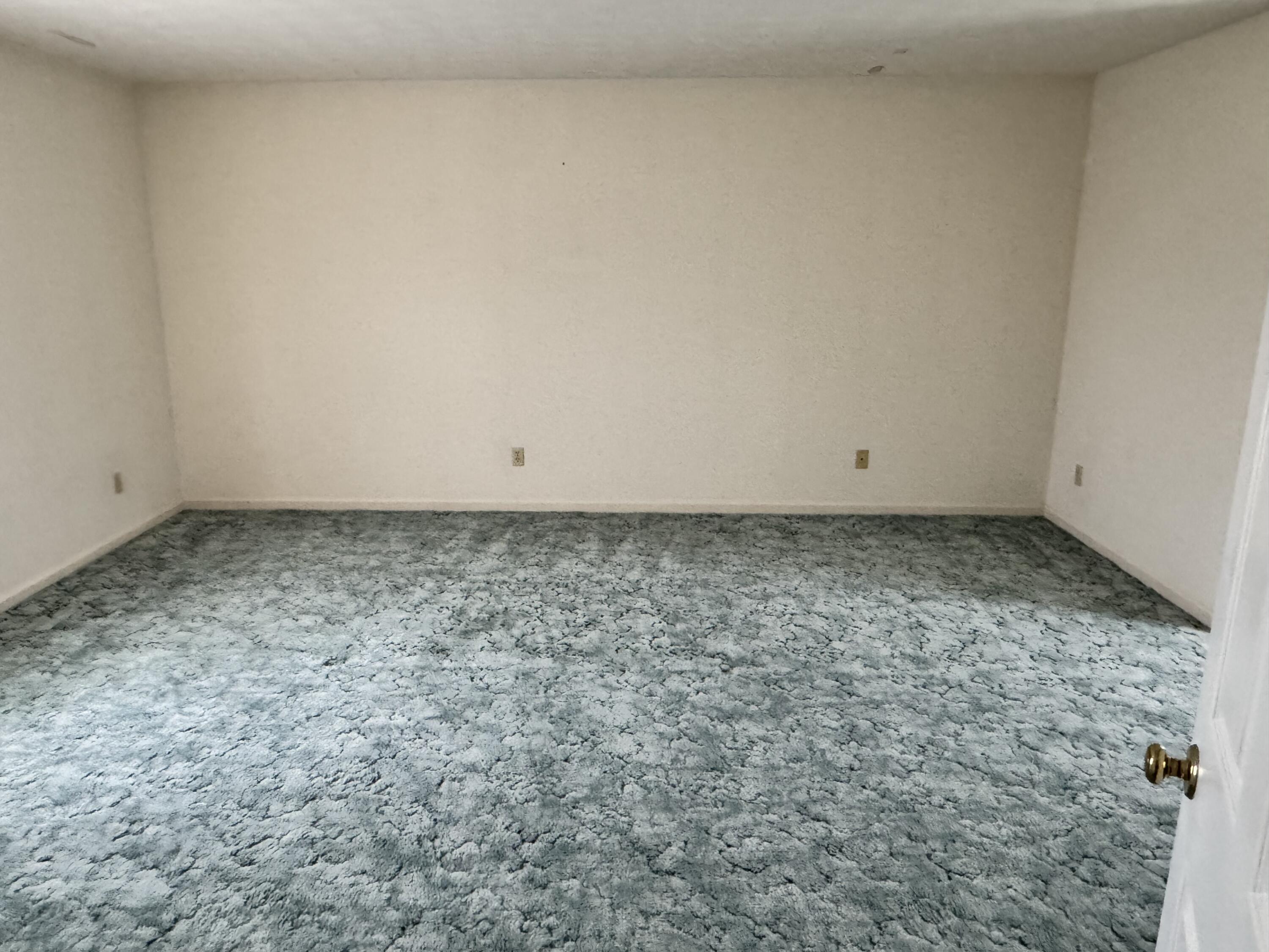 306 Vail Drive Property Photo 10