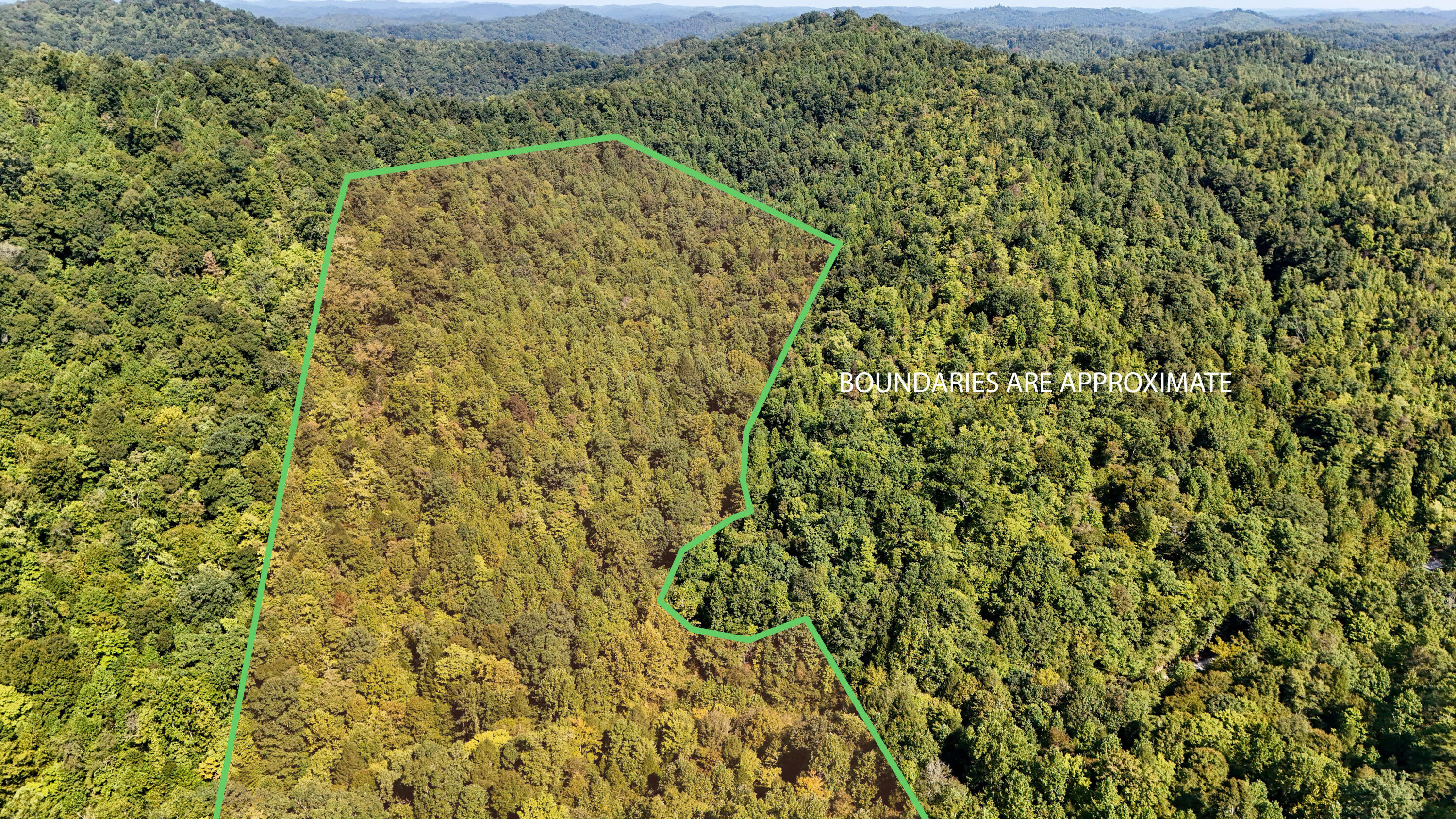 1737 Laurel Branch Road Property Photo 1