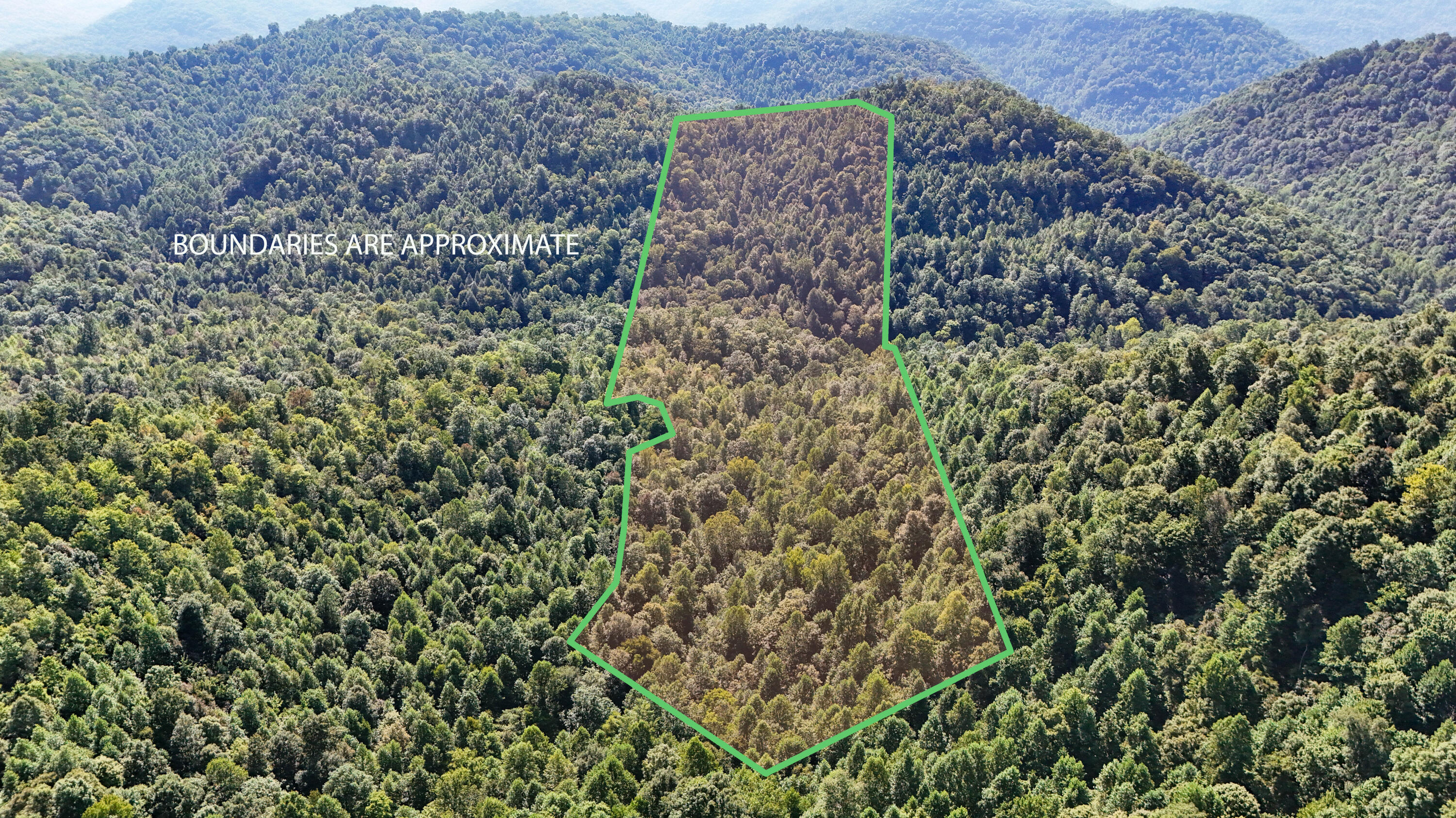 1737 Laurel Branch Road Property Photo 3