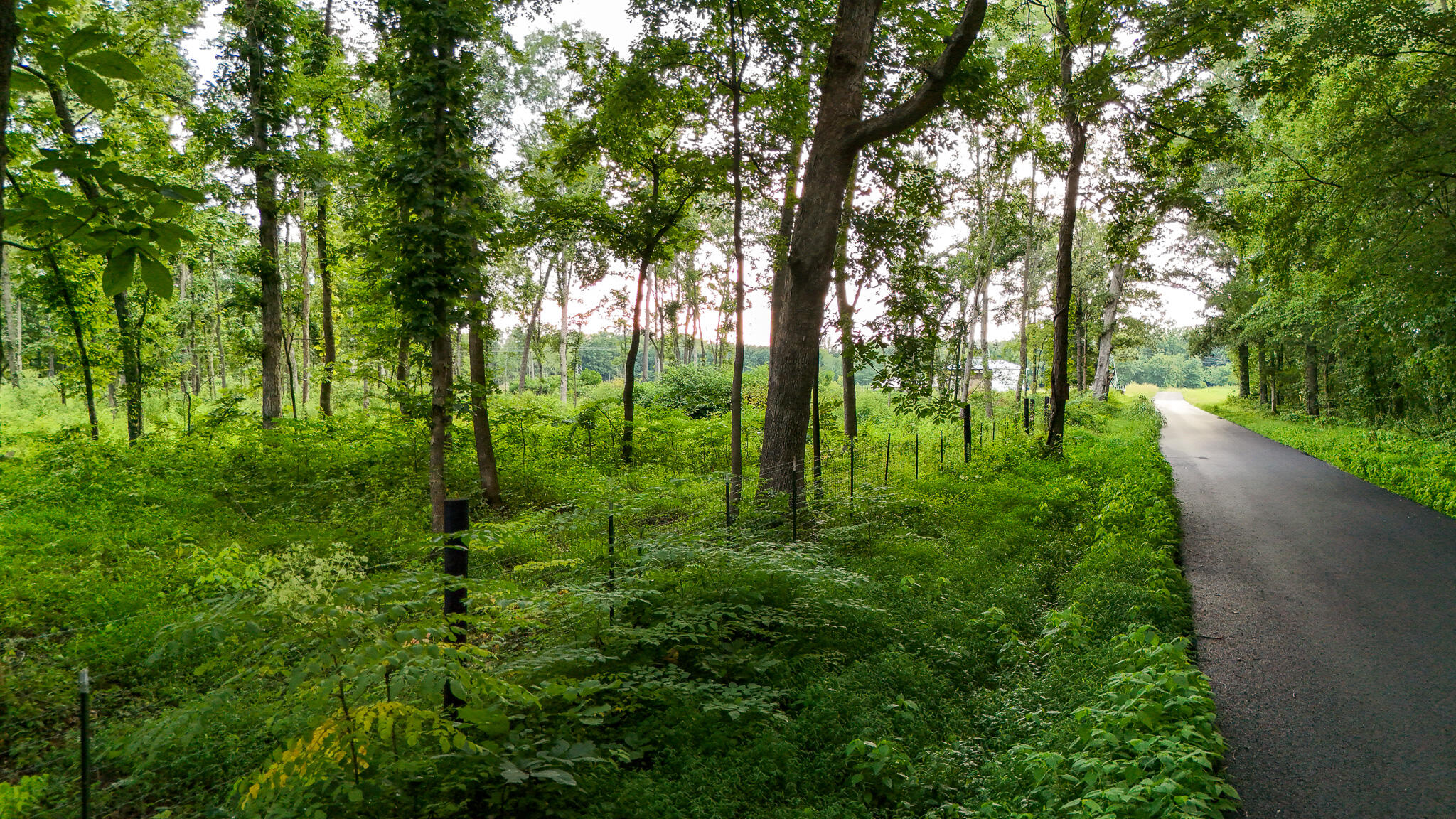 8300 Palestine School Road Property Photo 2