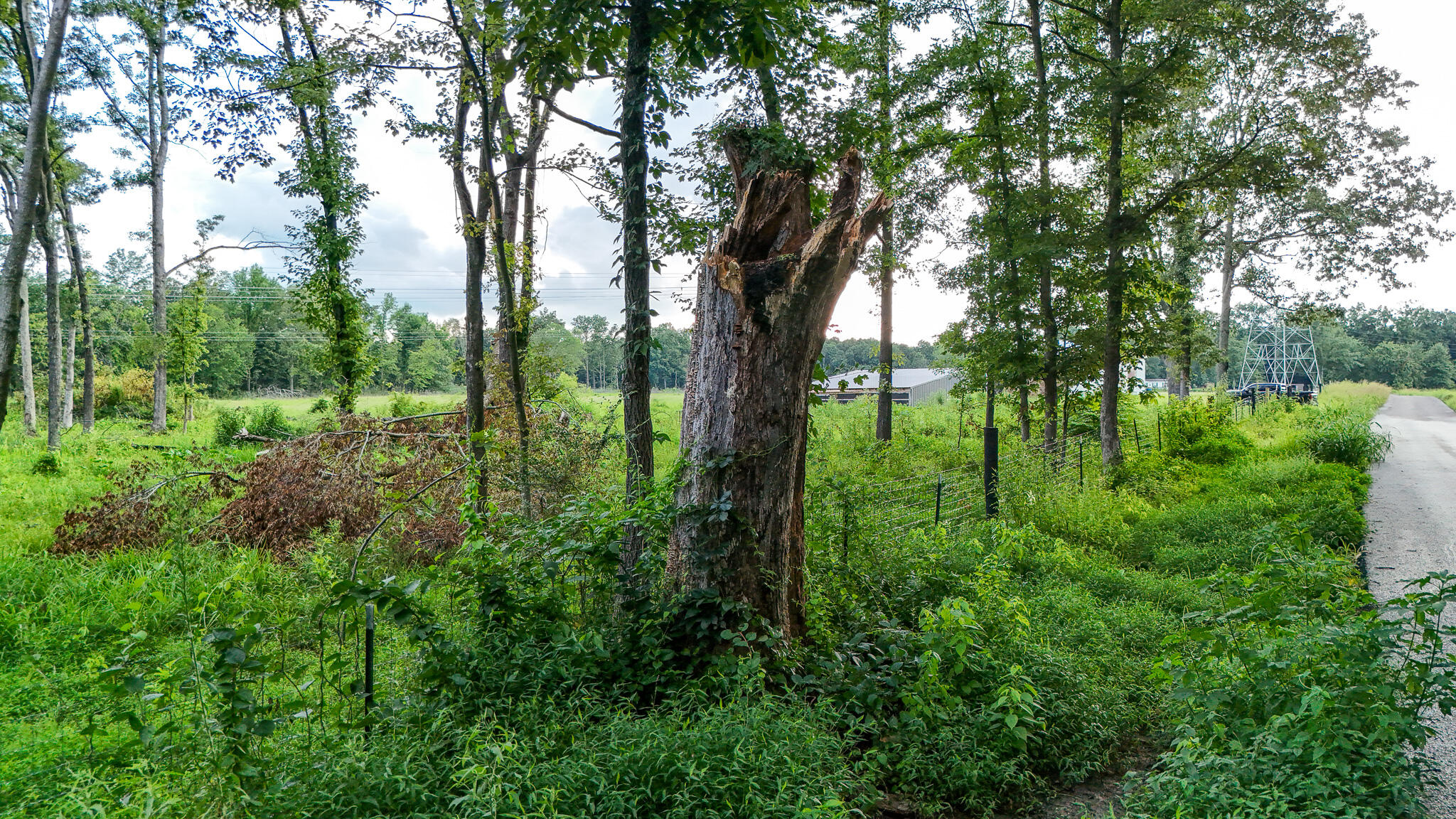 8300 Palestine School Road Property Photo 3