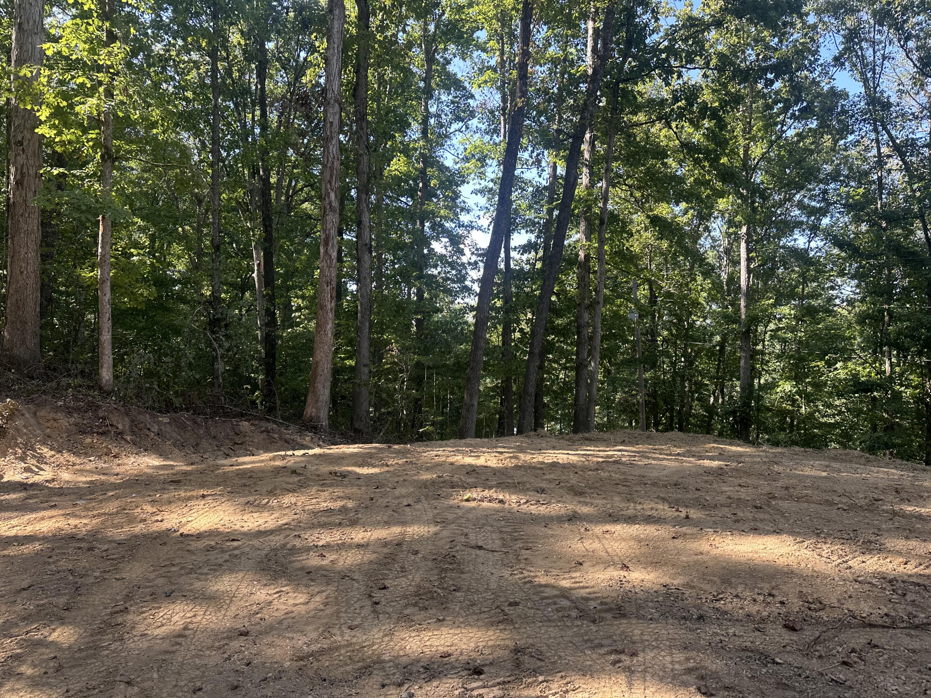 591 Rocky Branch Road Property Photo 2
