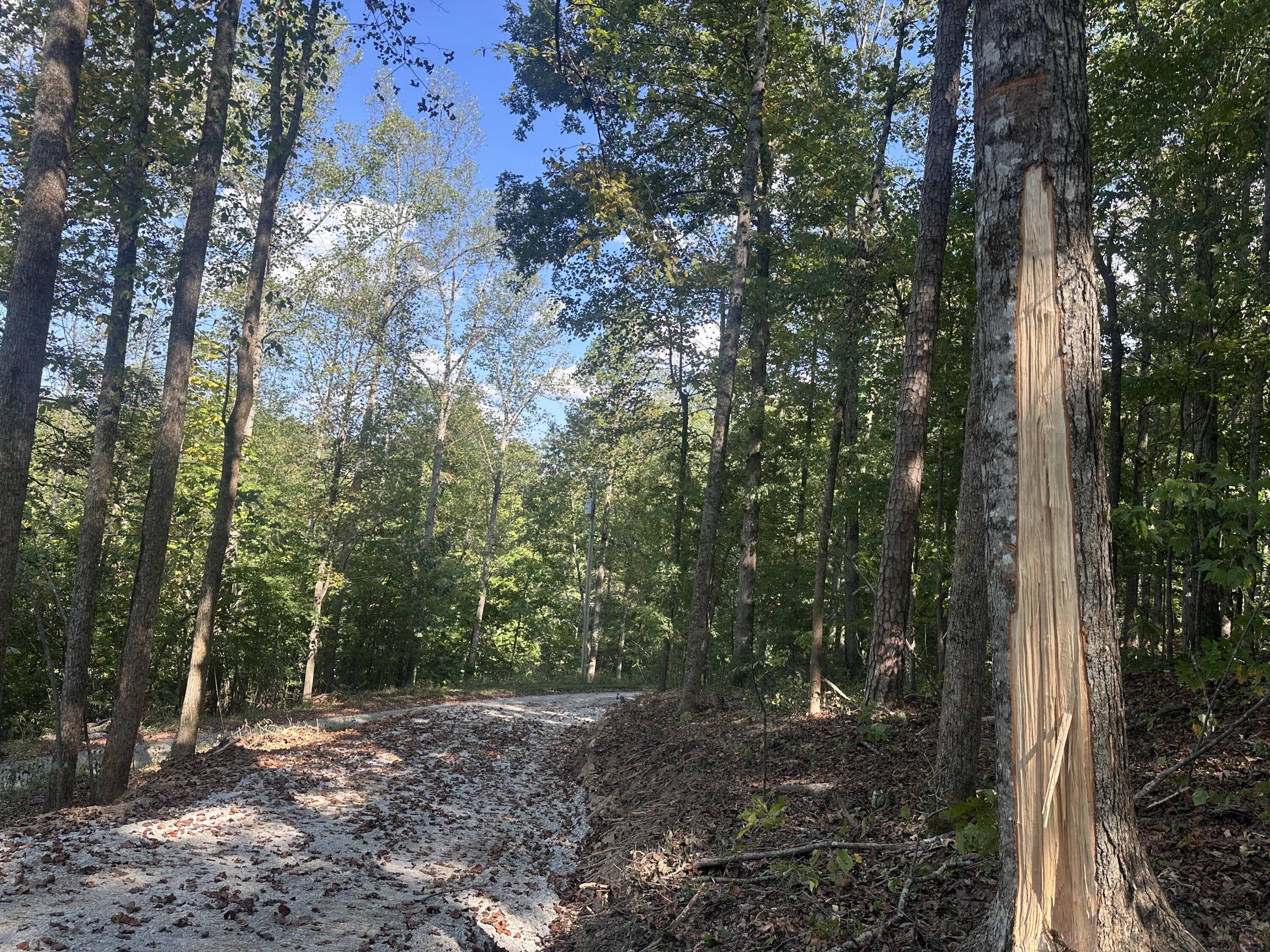 591 Rocky Branch Road Property Photo 3