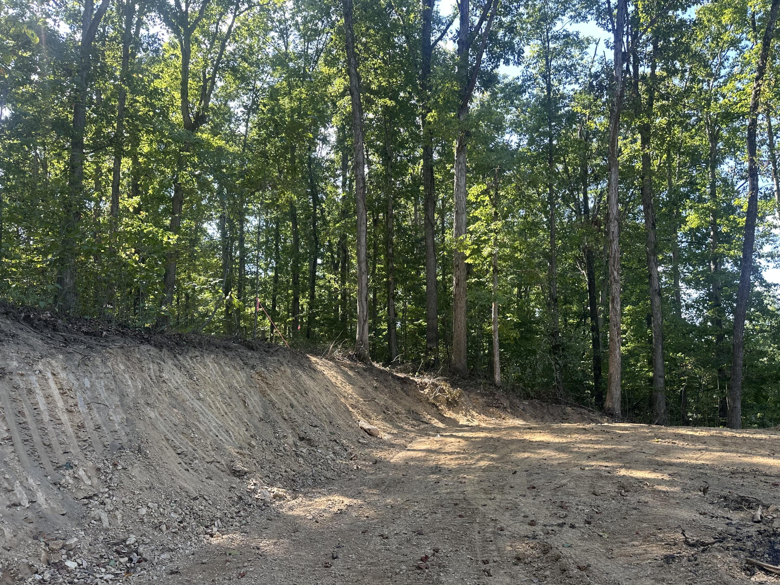 591 Rocky Branch Road Property Photo 4