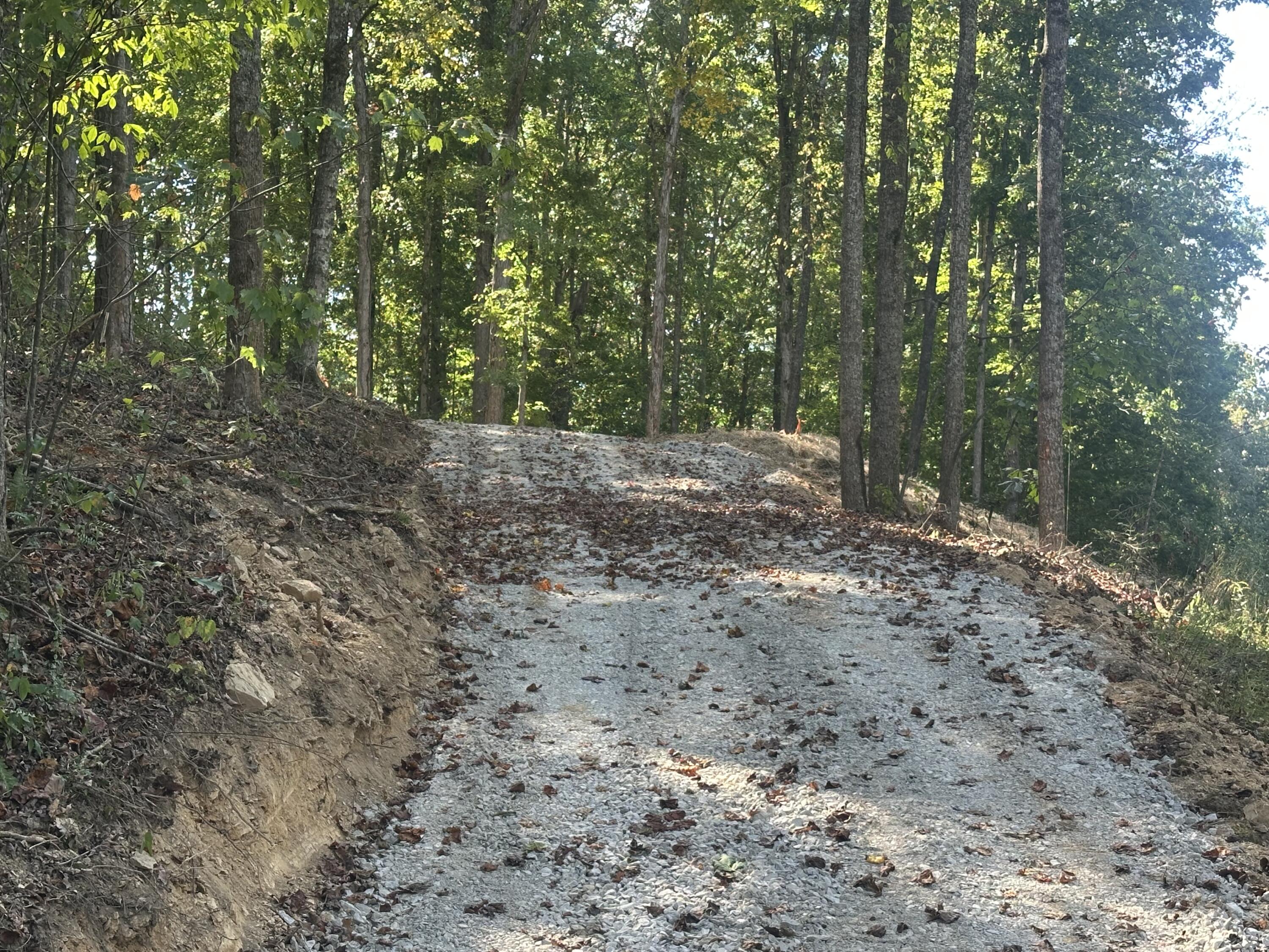 591 Rocky Branch Road Property Photo 5