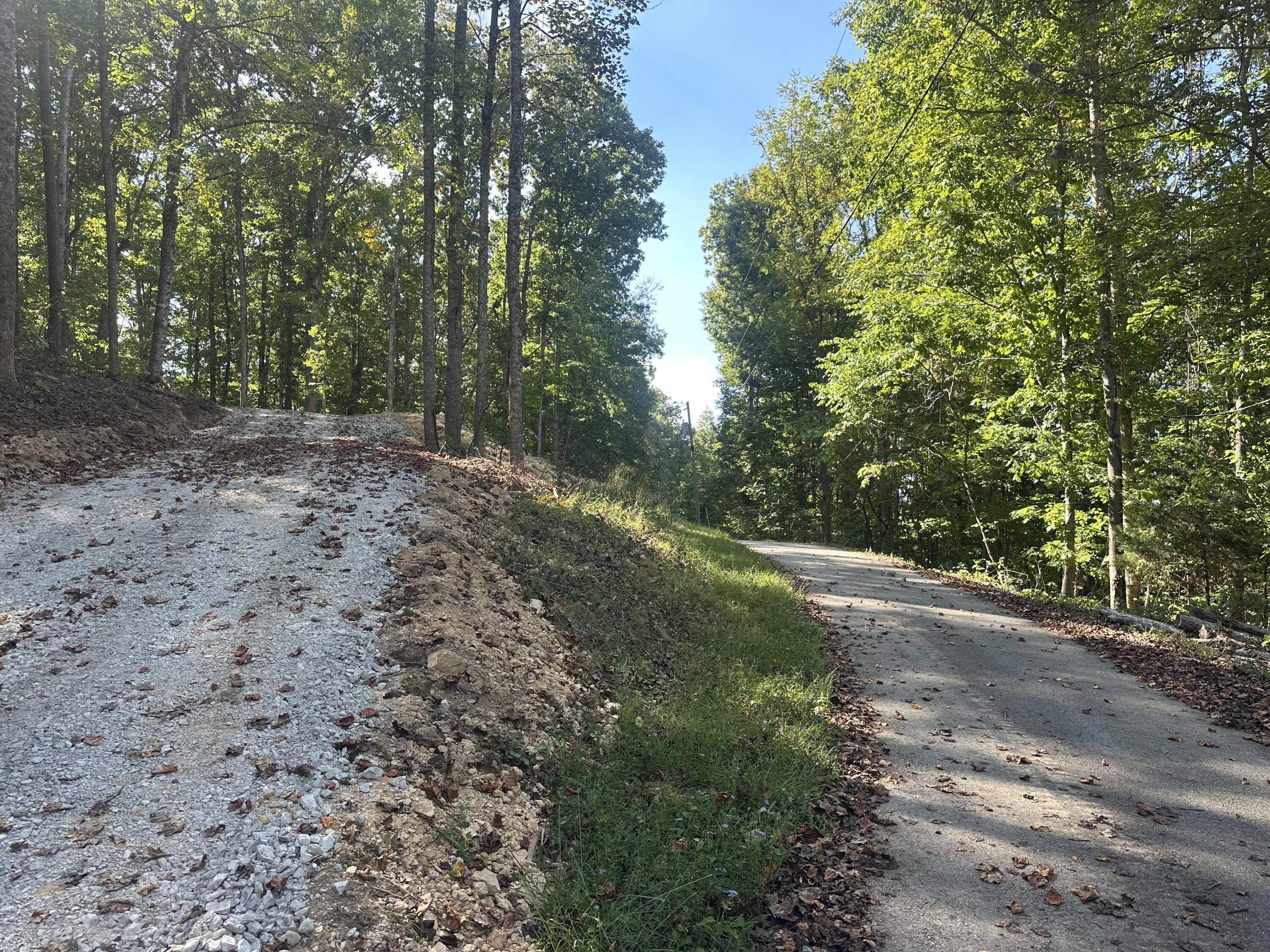591 Rocky Branch Road Property Photo 6