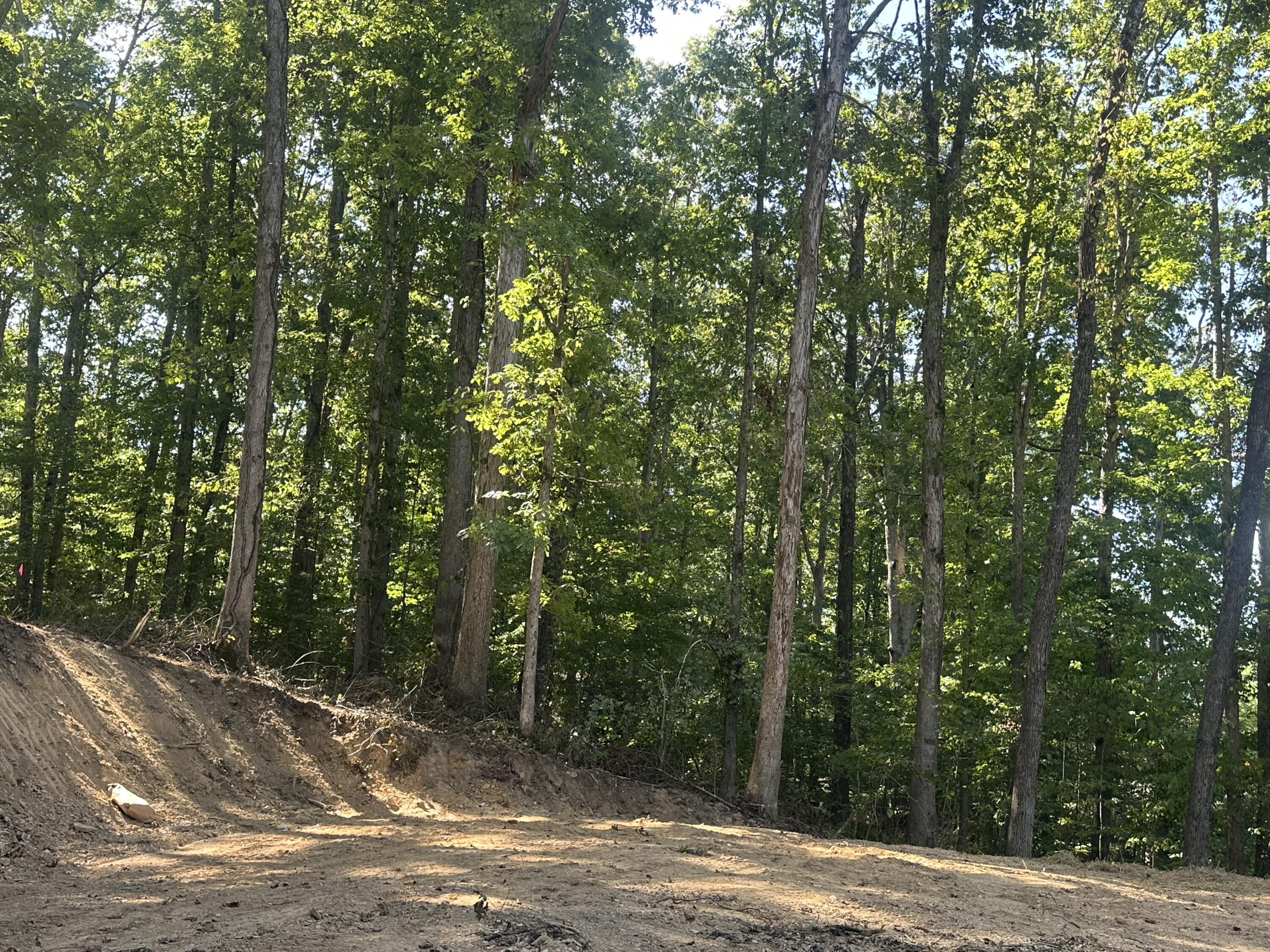 591 Rocky Branch Road Property Photo 7