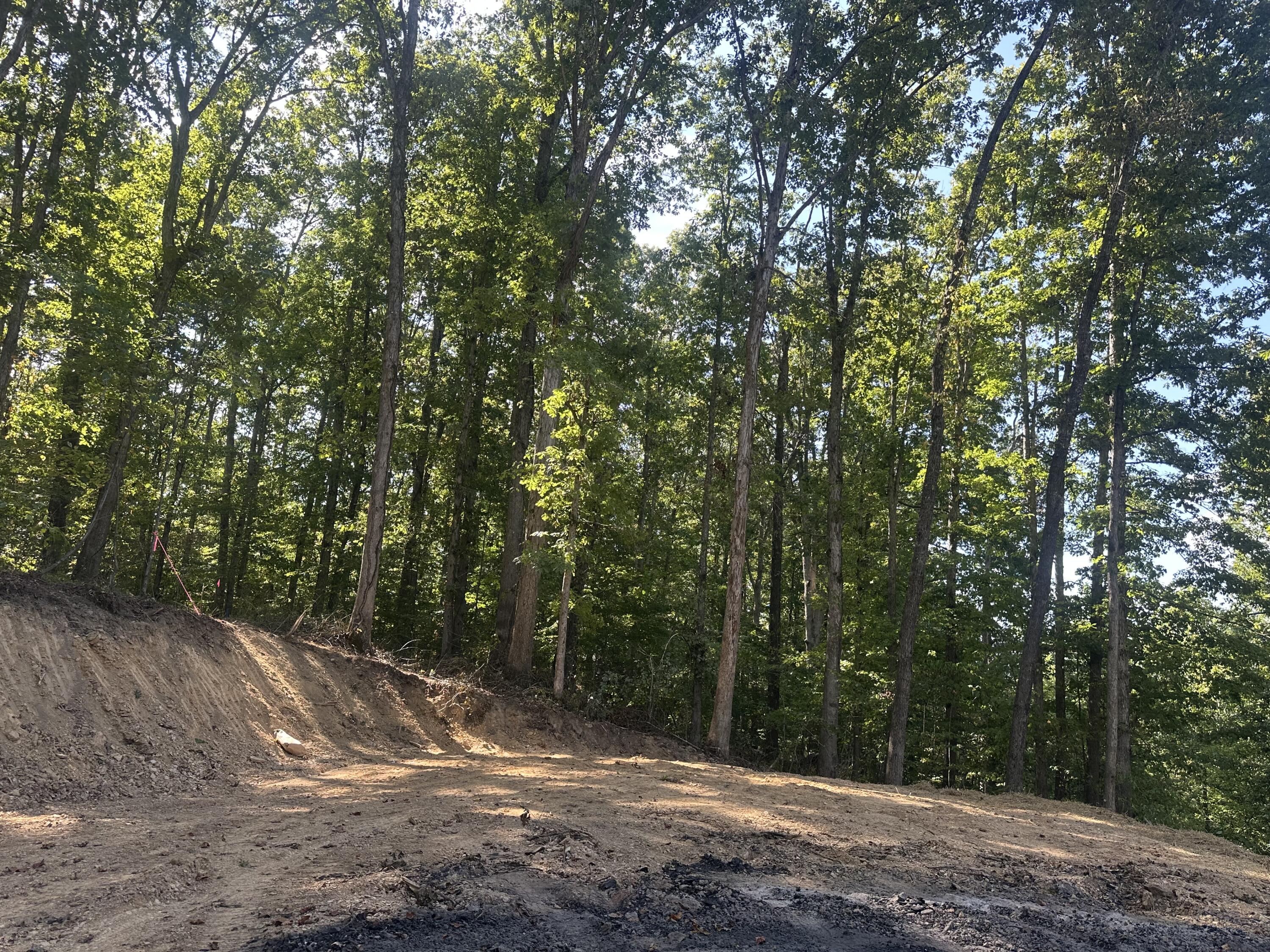 591 Rocky Branch Road Property Photo 8
