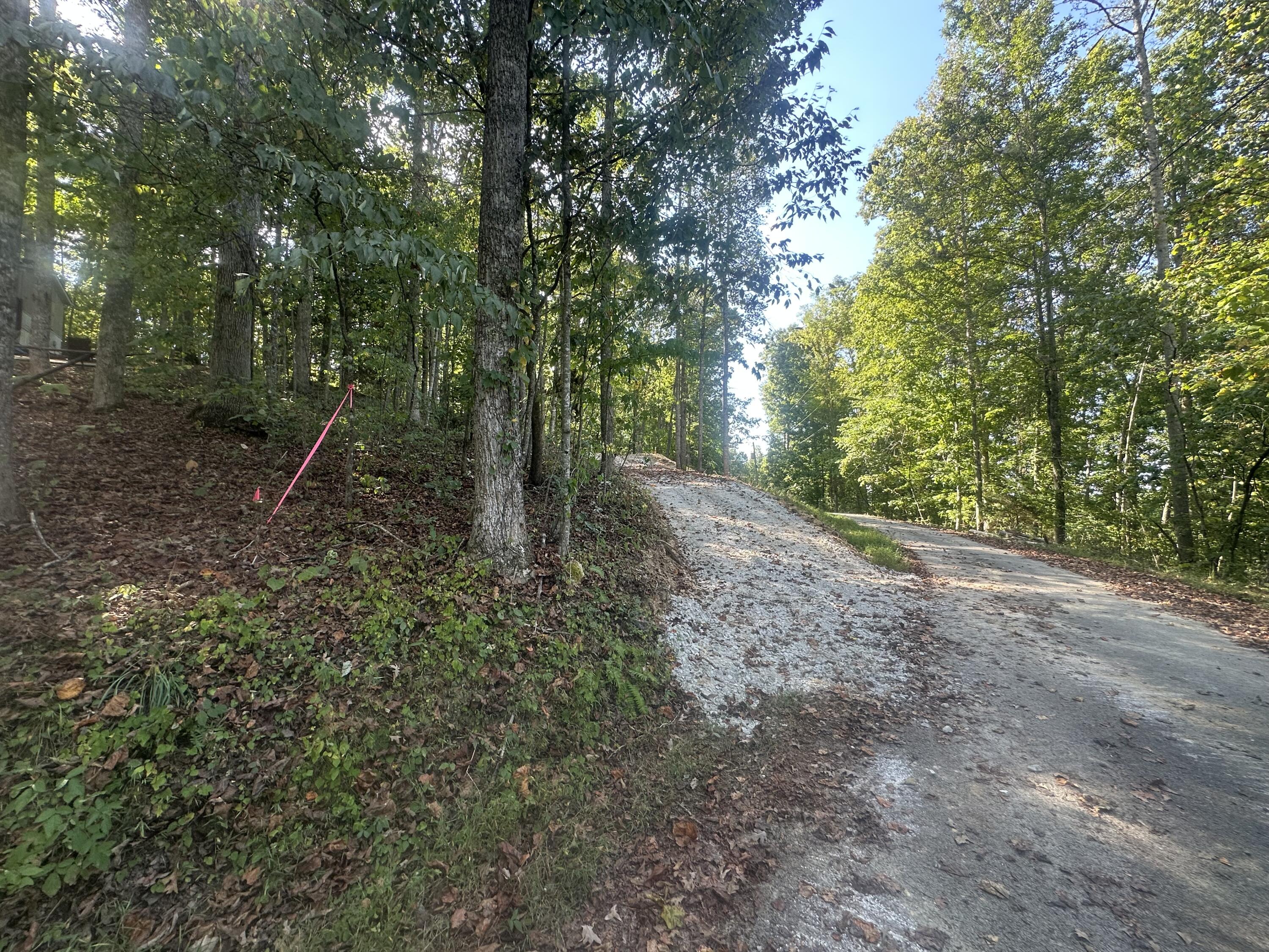 591 Rocky Branch Road Property Photo 9