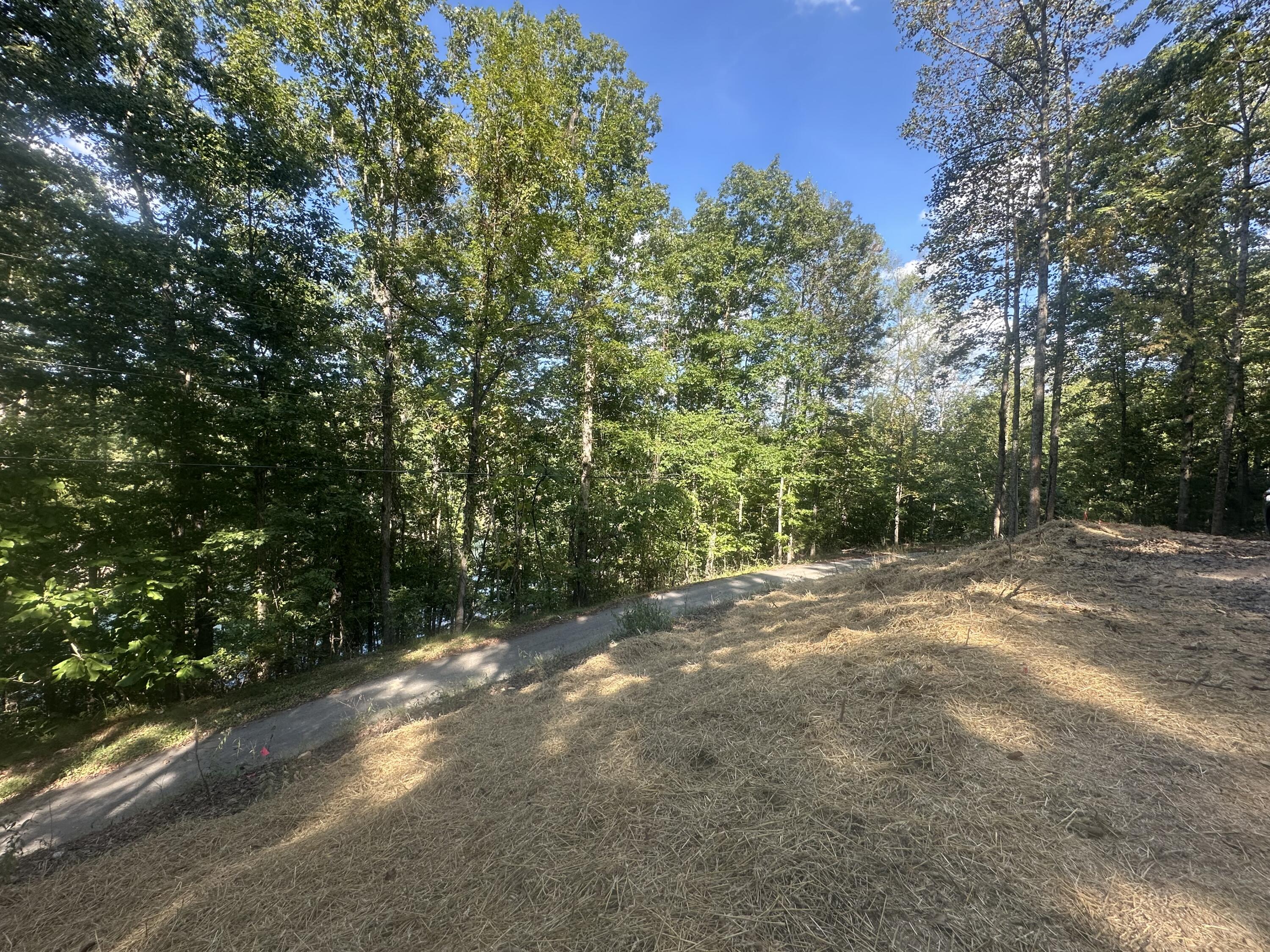 591 Rocky Branch Road Property Photo 11