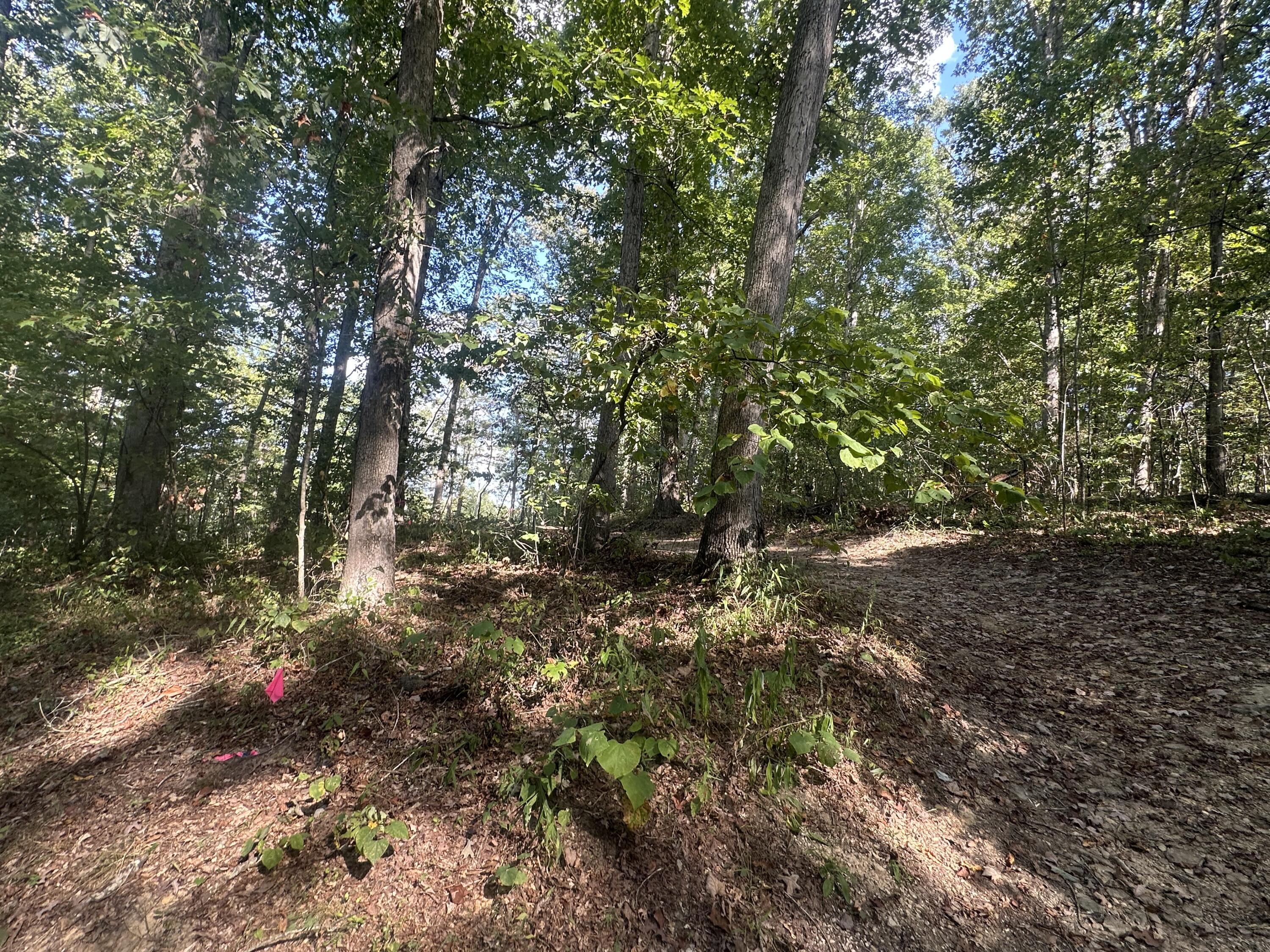 591 Rocky Branch Road Property Photo 12