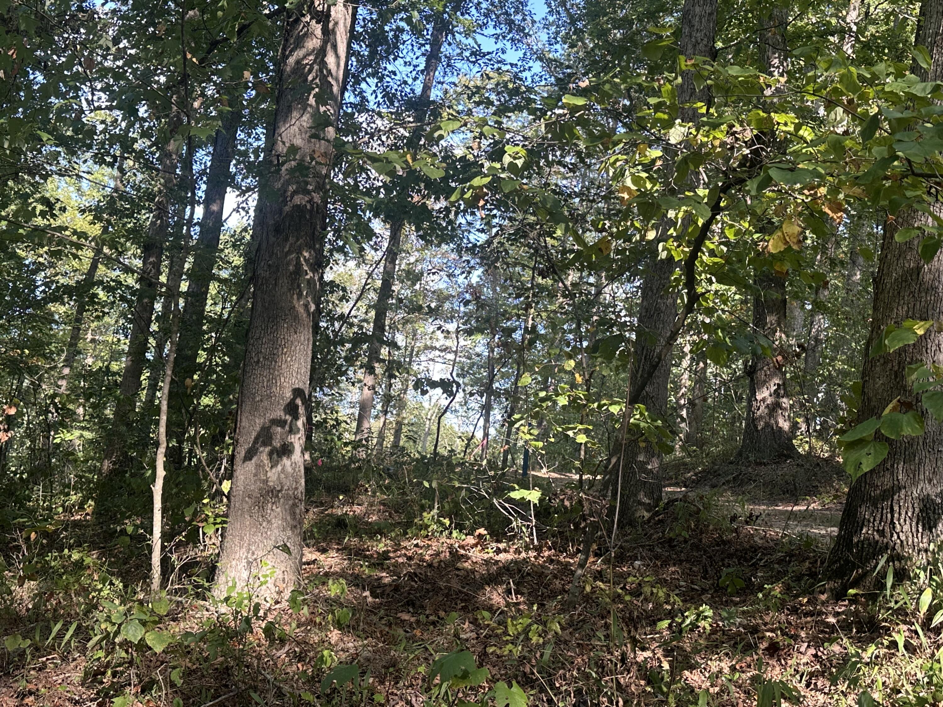 591 Rocky Branch Road Property Photo 14