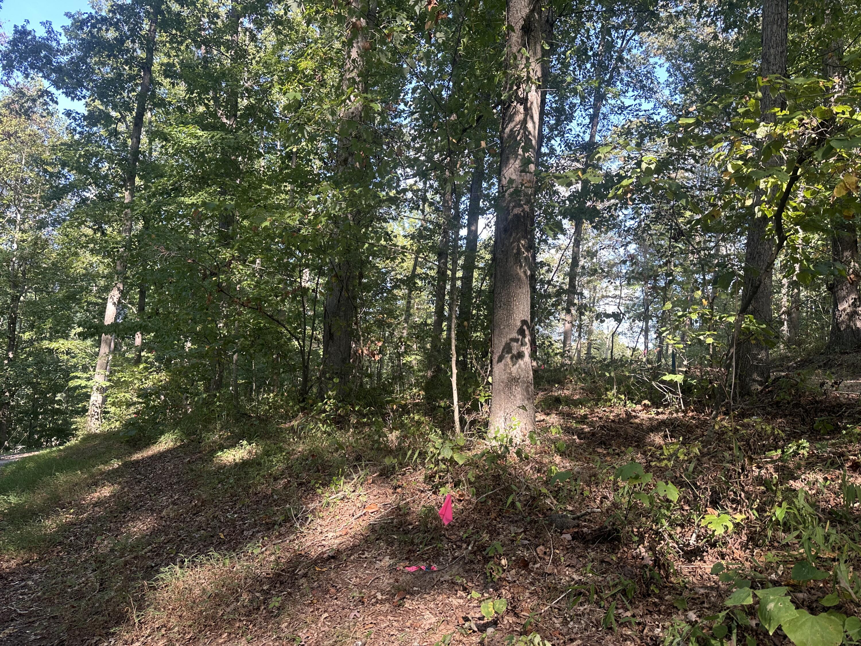 591 Rocky Branch Road Property Photo 15