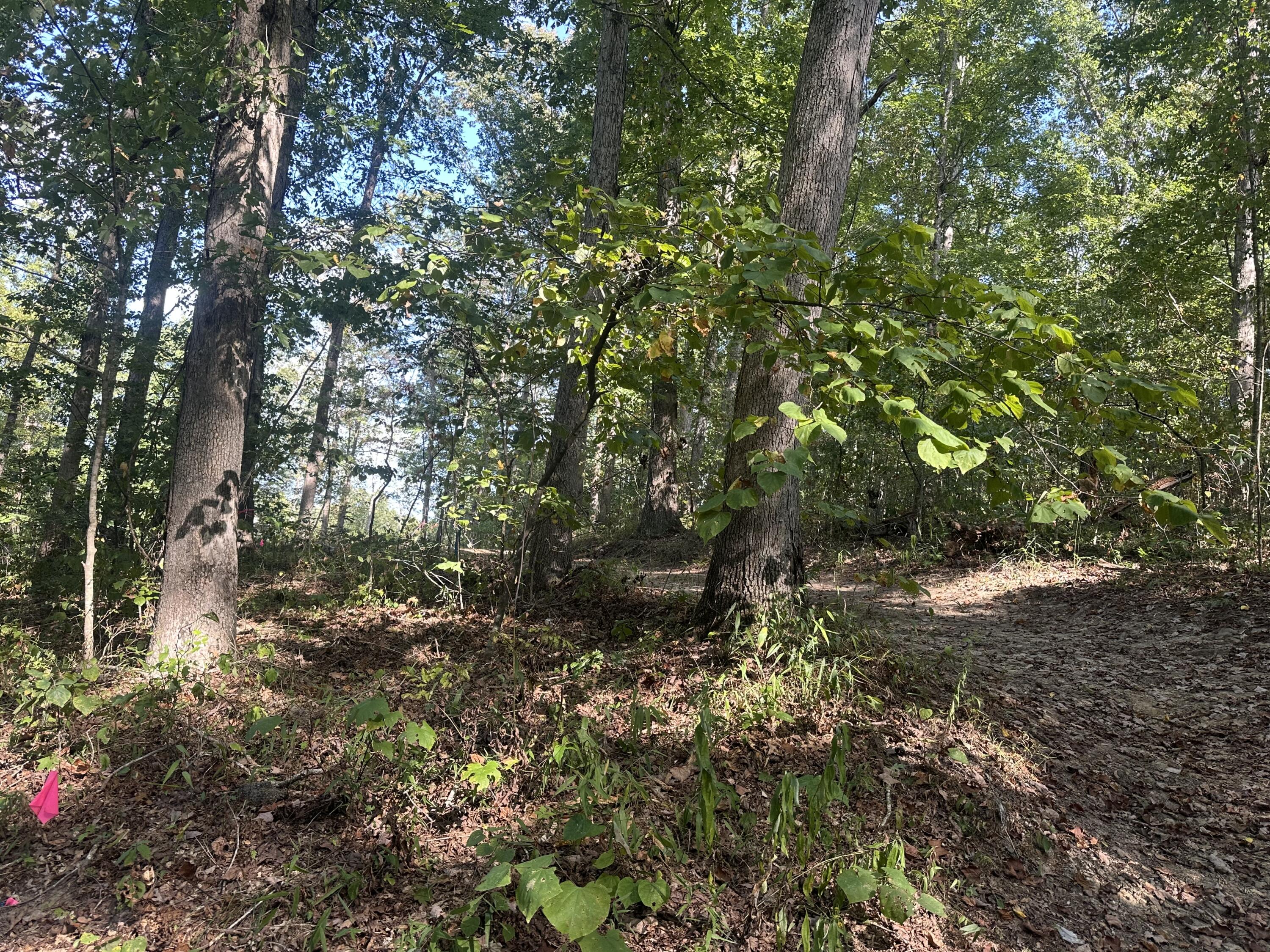591 Rocky Branch Road Property Photo 16