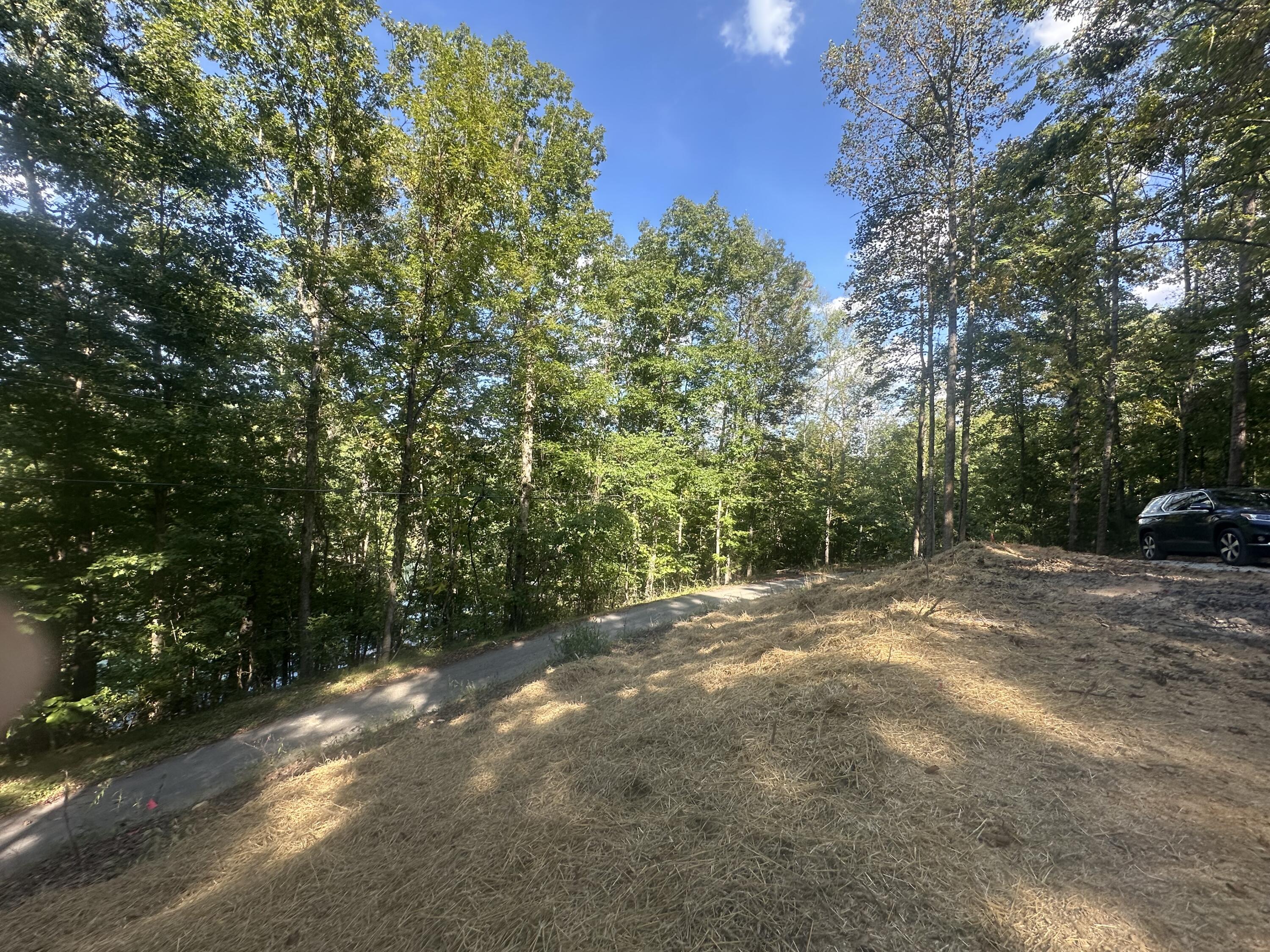 591 Rocky Branch Road Property Photo 18