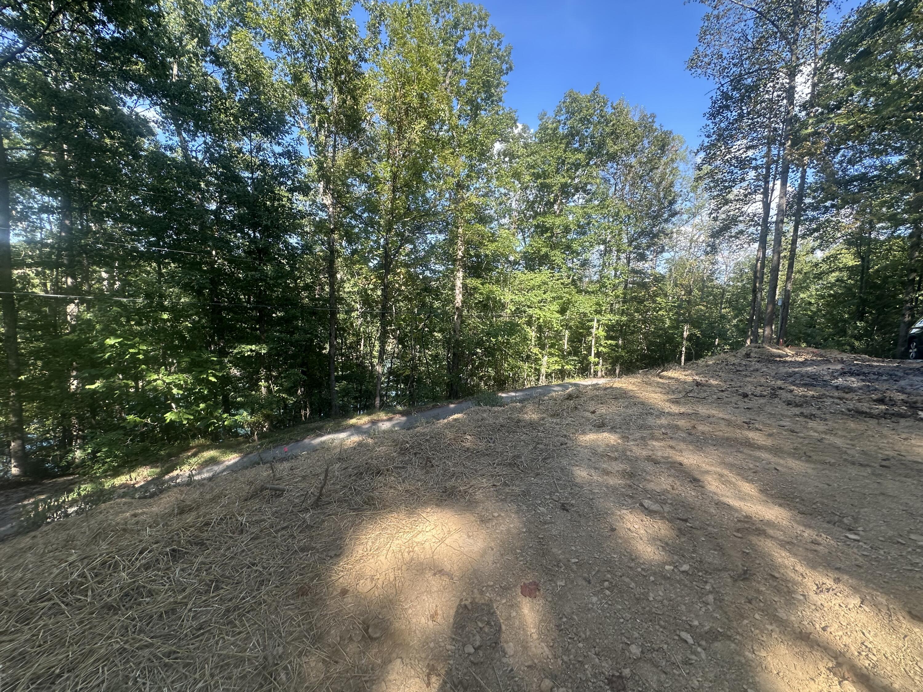 591 Rocky Branch Road Property Photo 20