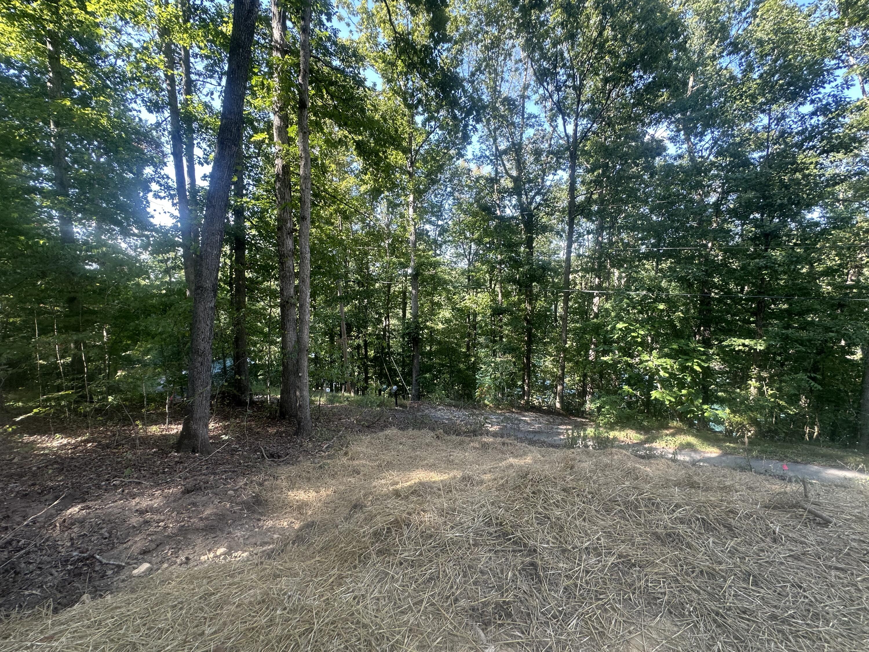 591 Rocky Branch Road Property Photo 23
