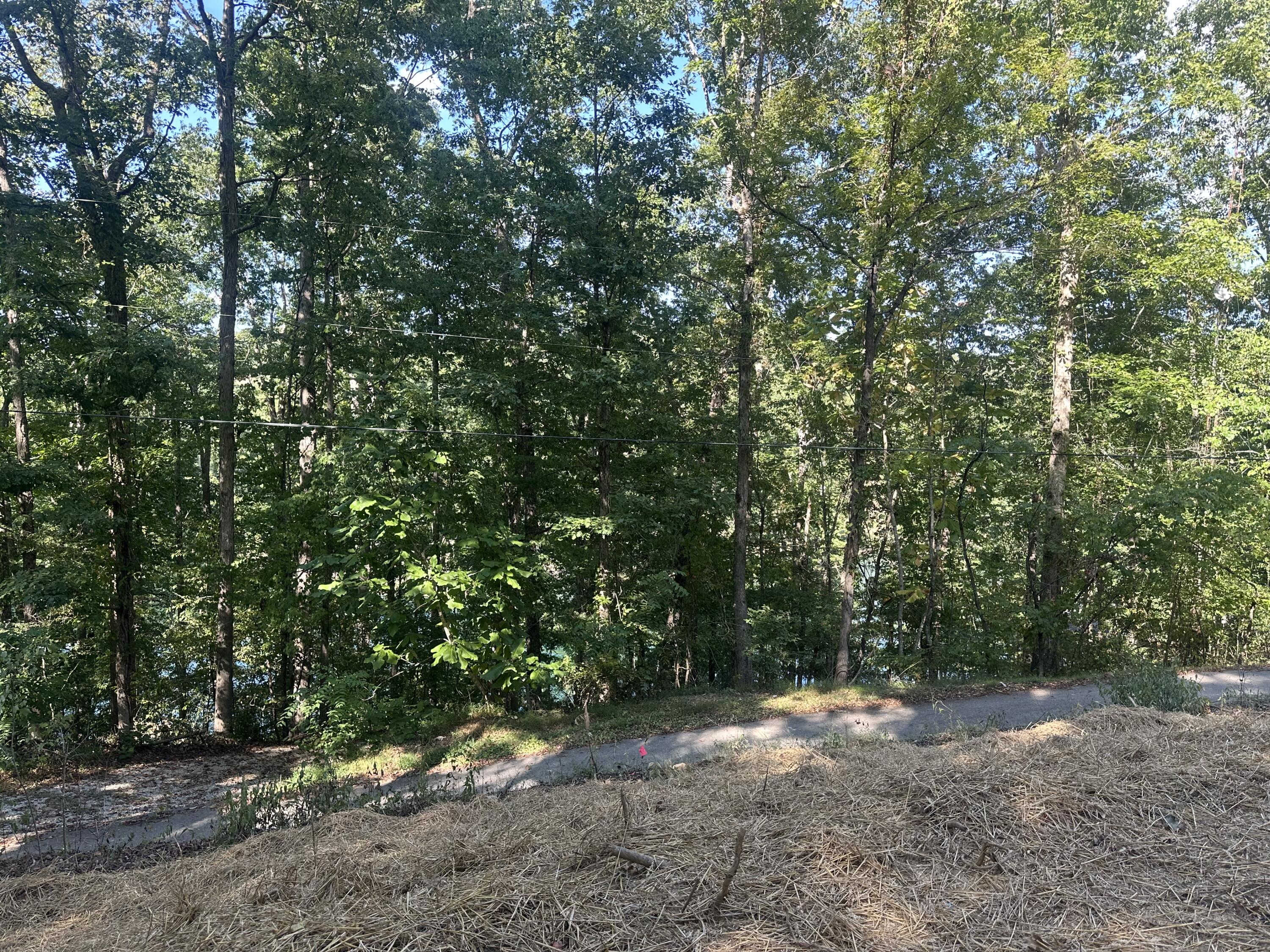 591 Rocky Branch Road Property Photo 24