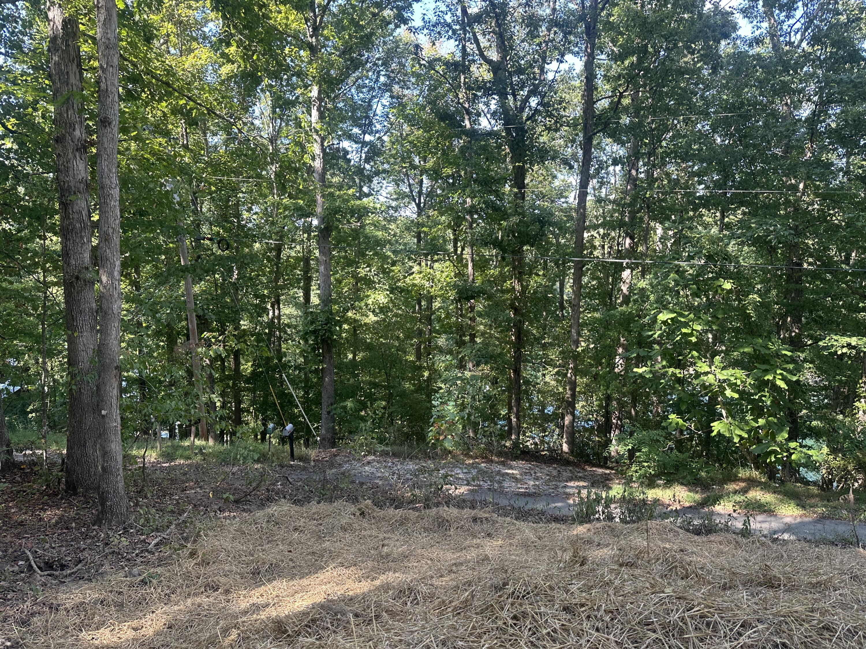 591 Rocky Branch Road Property Photo 26