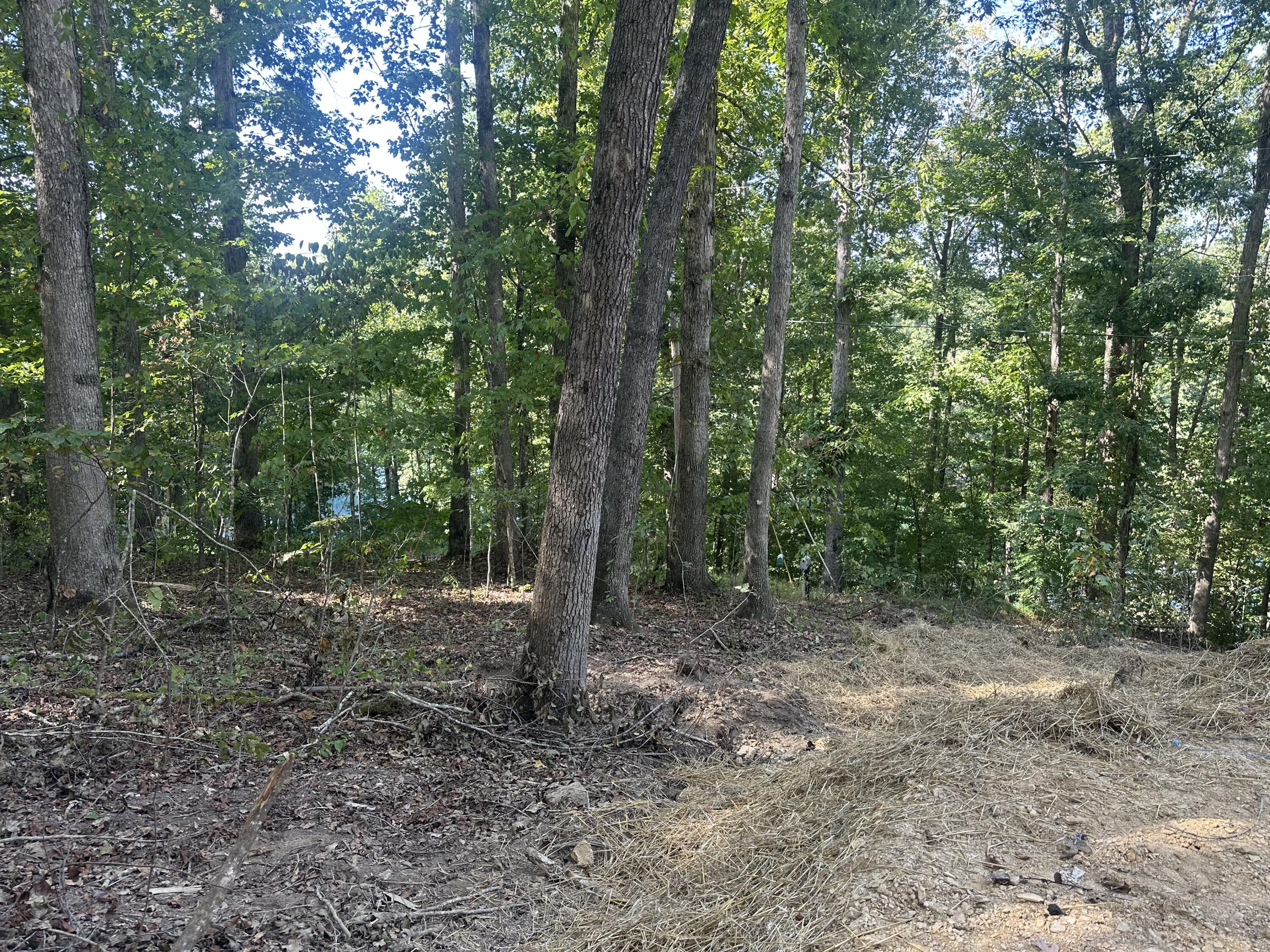 591 Rocky Branch Road Property Photo 28