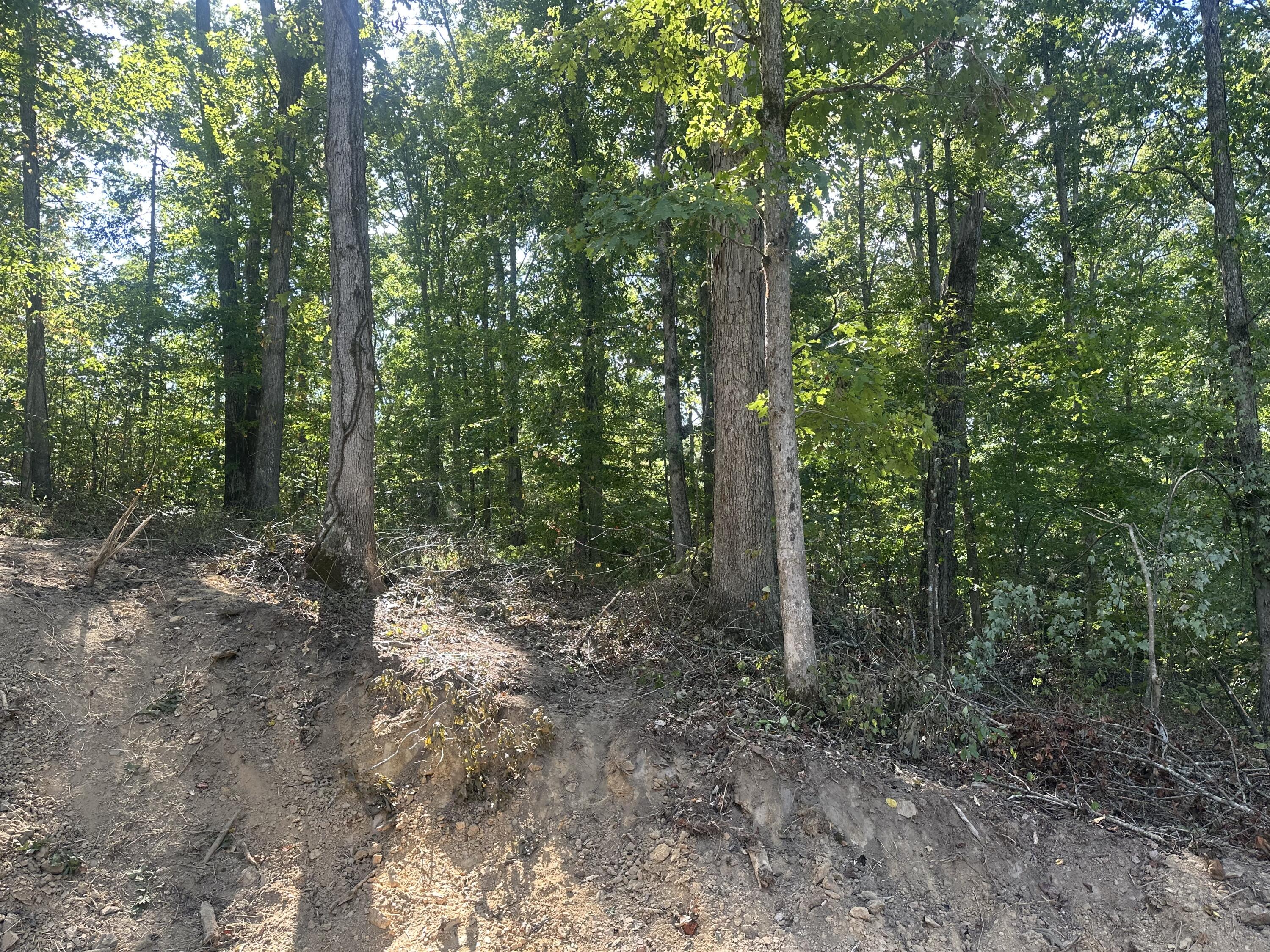 591 Rocky Branch Road Property Photo 29