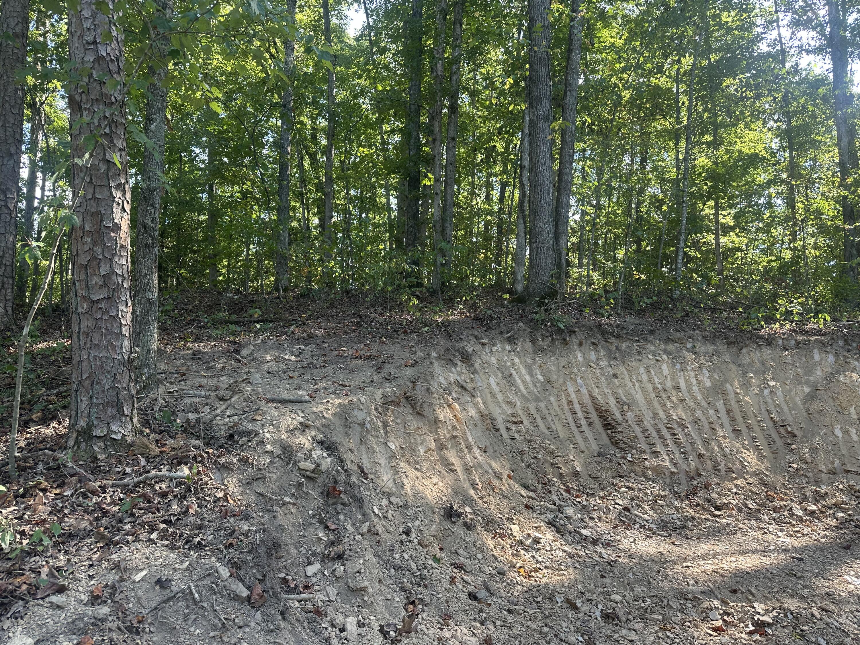 591 Rocky Branch Road Property Photo 30
