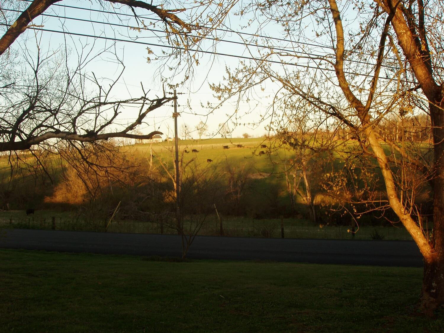 1070 Delaney Ferry Road Property Photo 22