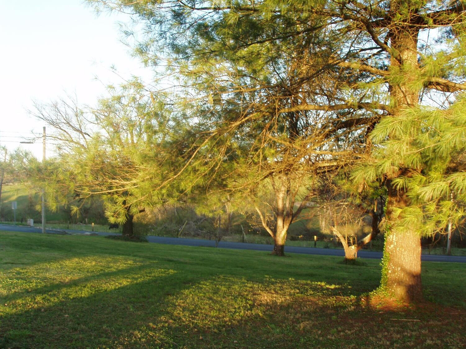 1070 Delaney Ferry Road Property Photo 23