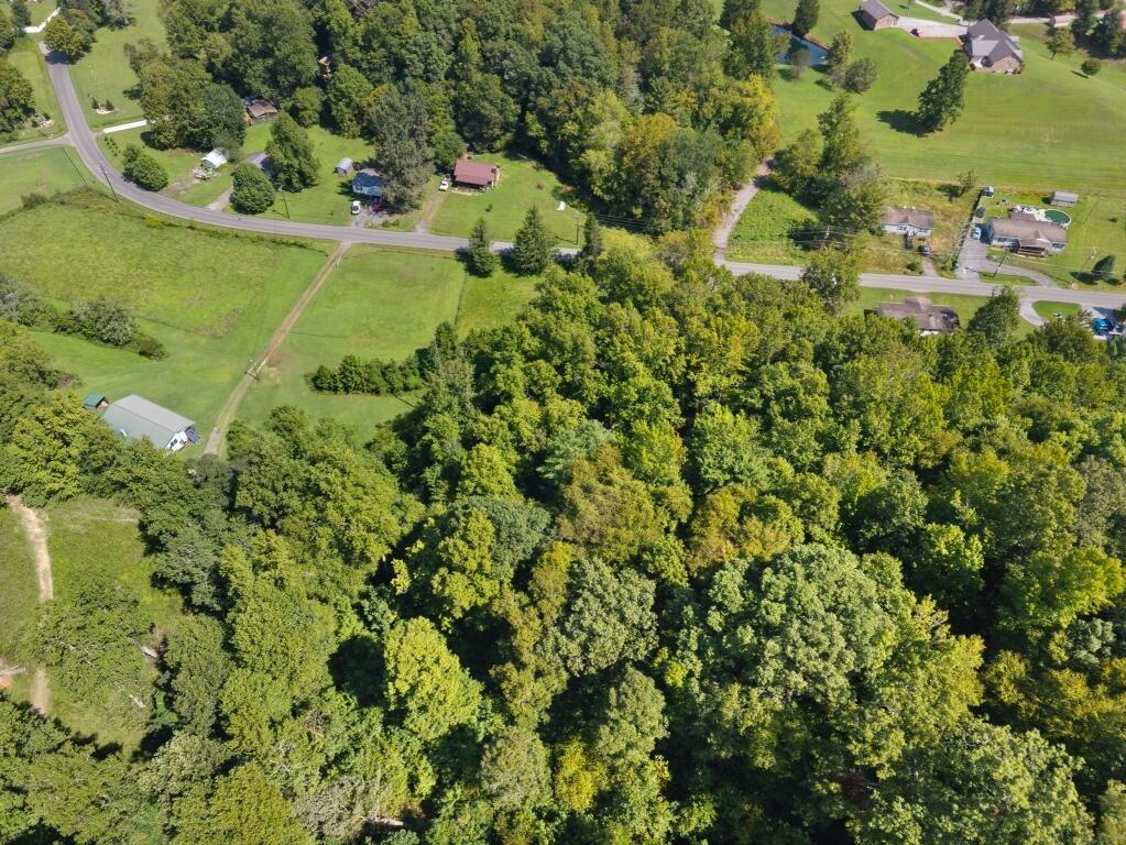 141 Lick Fork Road Property Photo 8