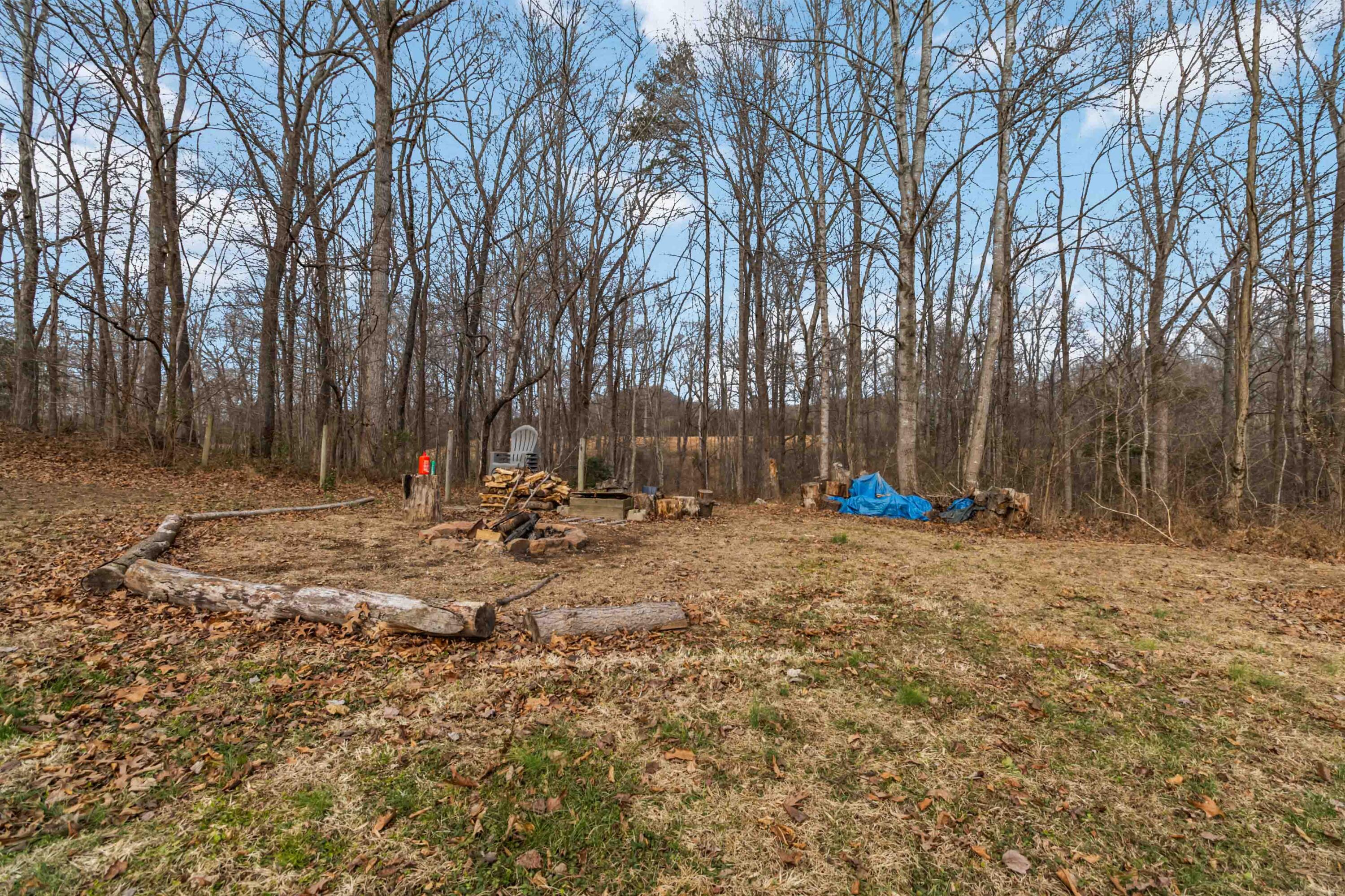 360 Forest Trail Drive Property Photo 9