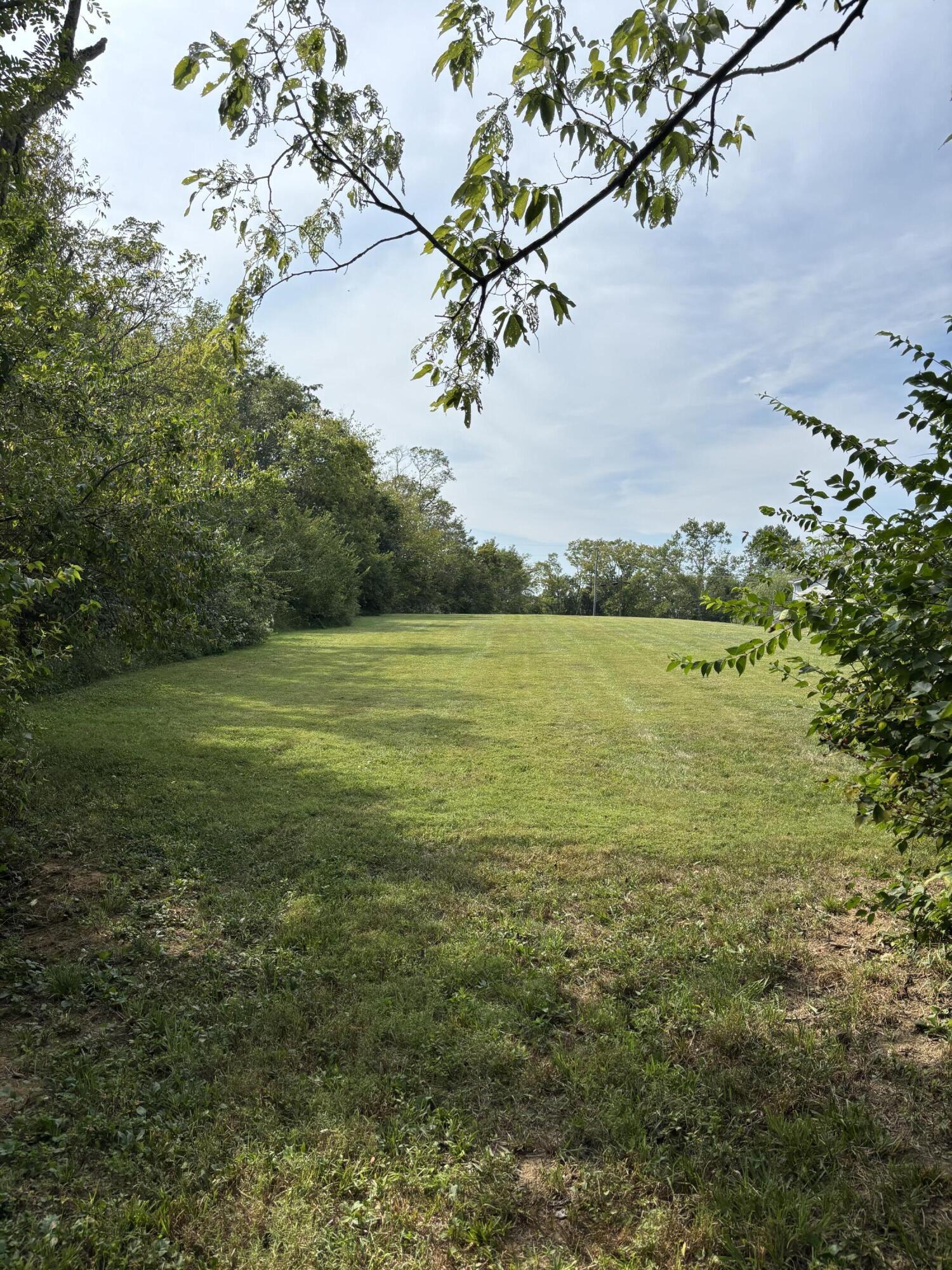 0 0 Hogg Ridge Road Property Photo 3