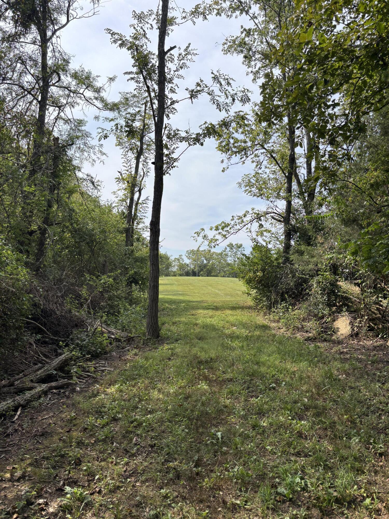 0 0 Hogg Ridge Road Property Photo 4