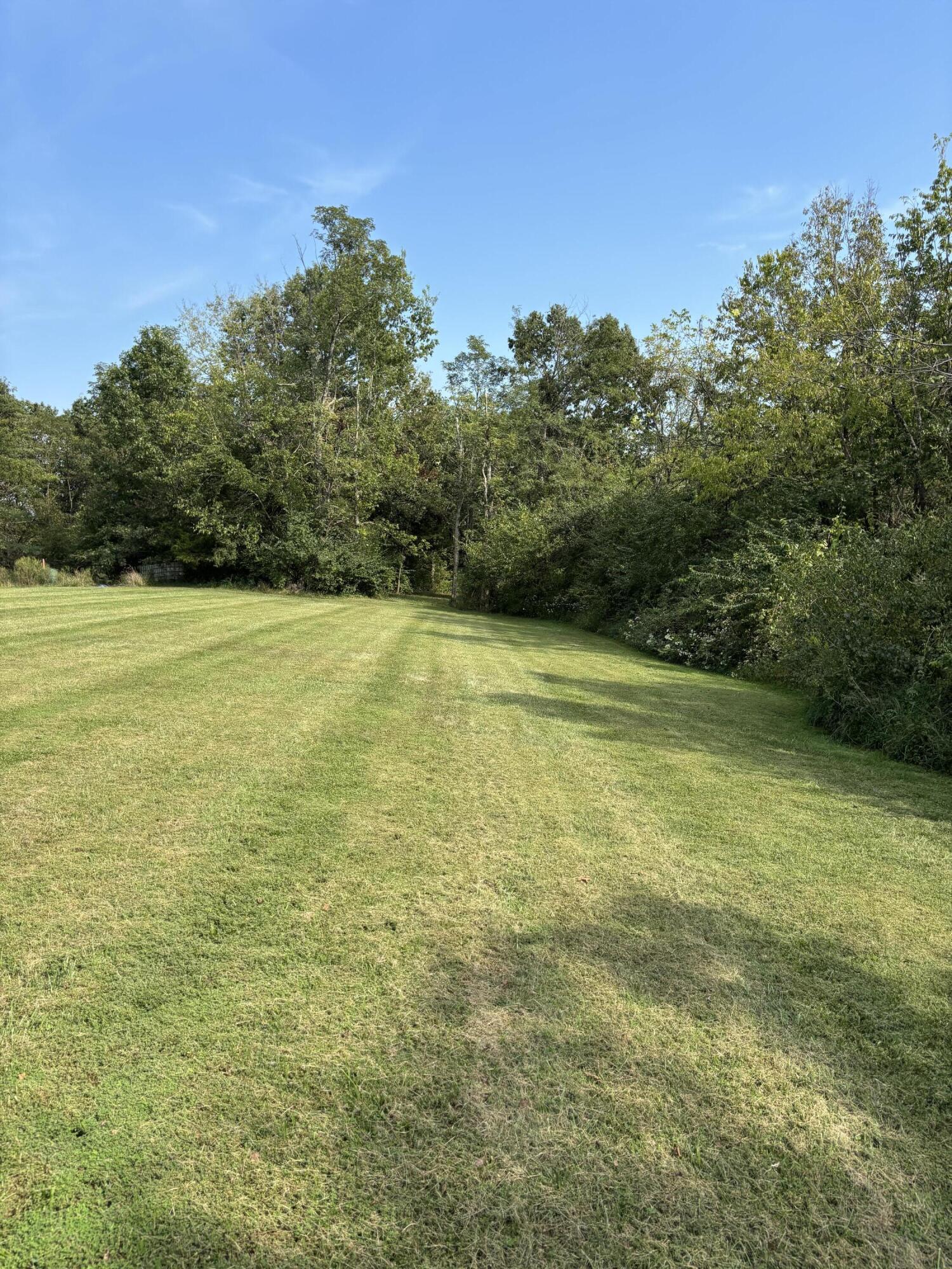 0 0 Hogg Ridge Road Property Photo 5