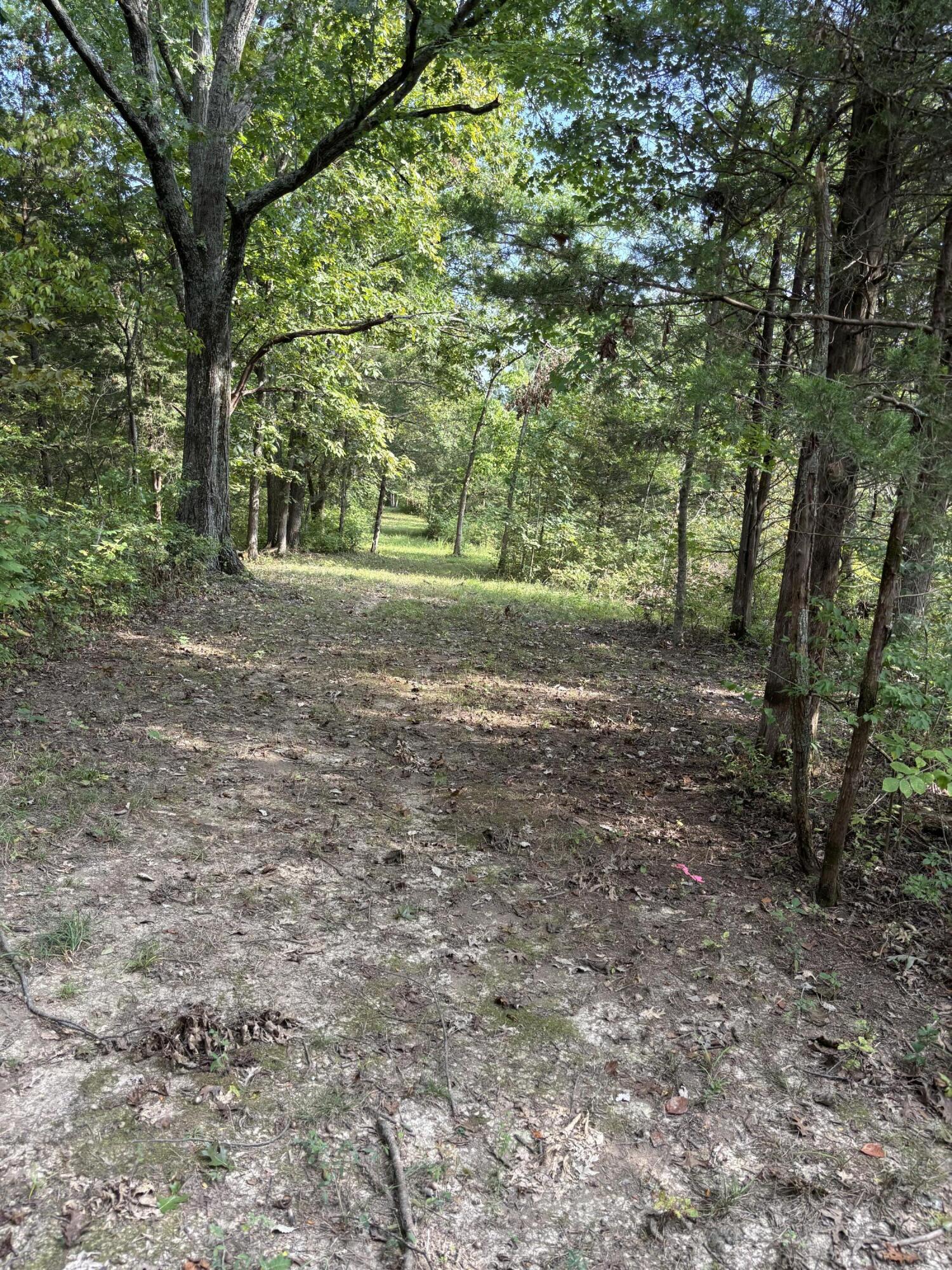 0 0 Hogg Ridge Road Property Photo 6