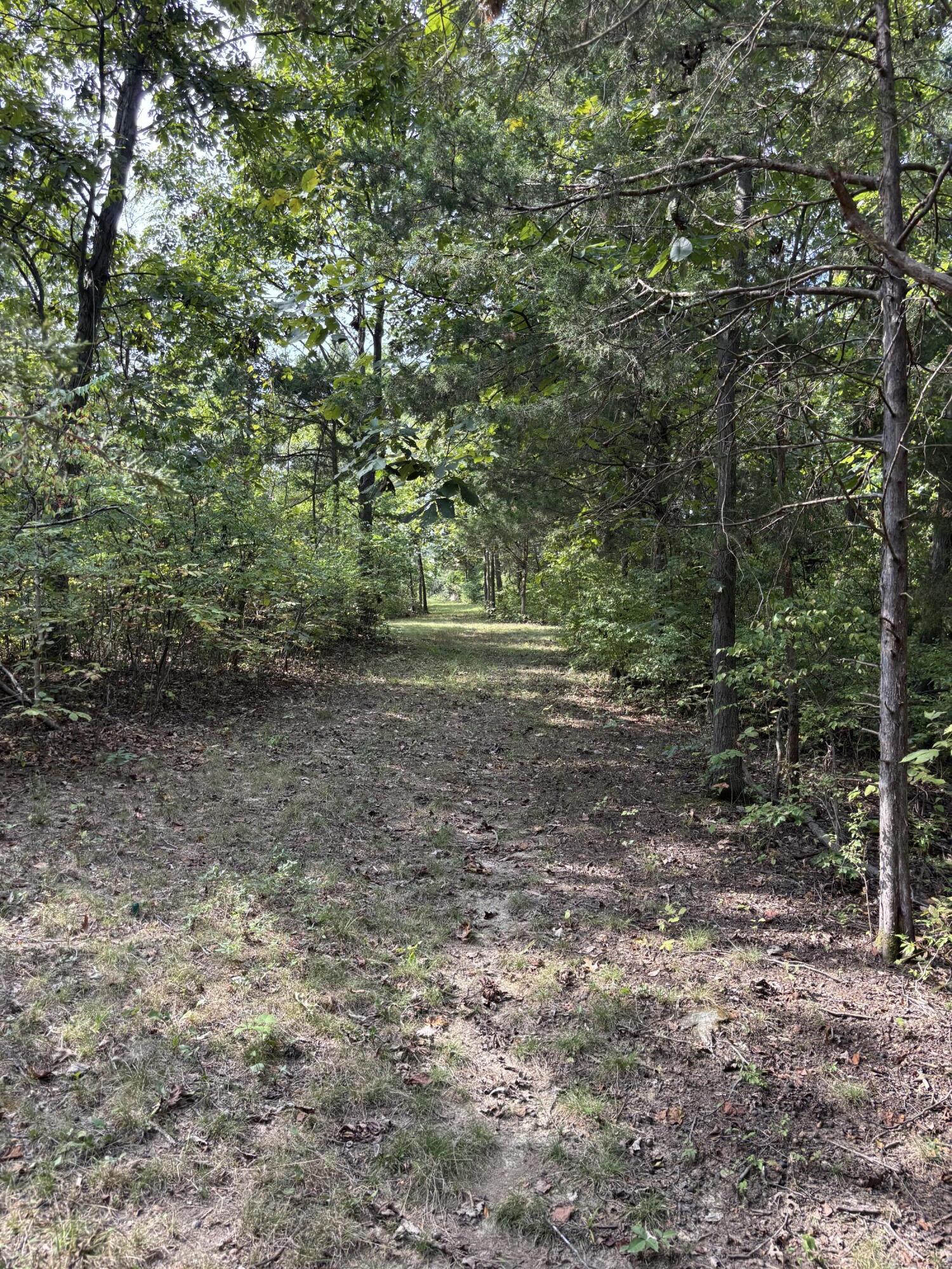 0 0 Hogg Ridge Road Property Photo 8