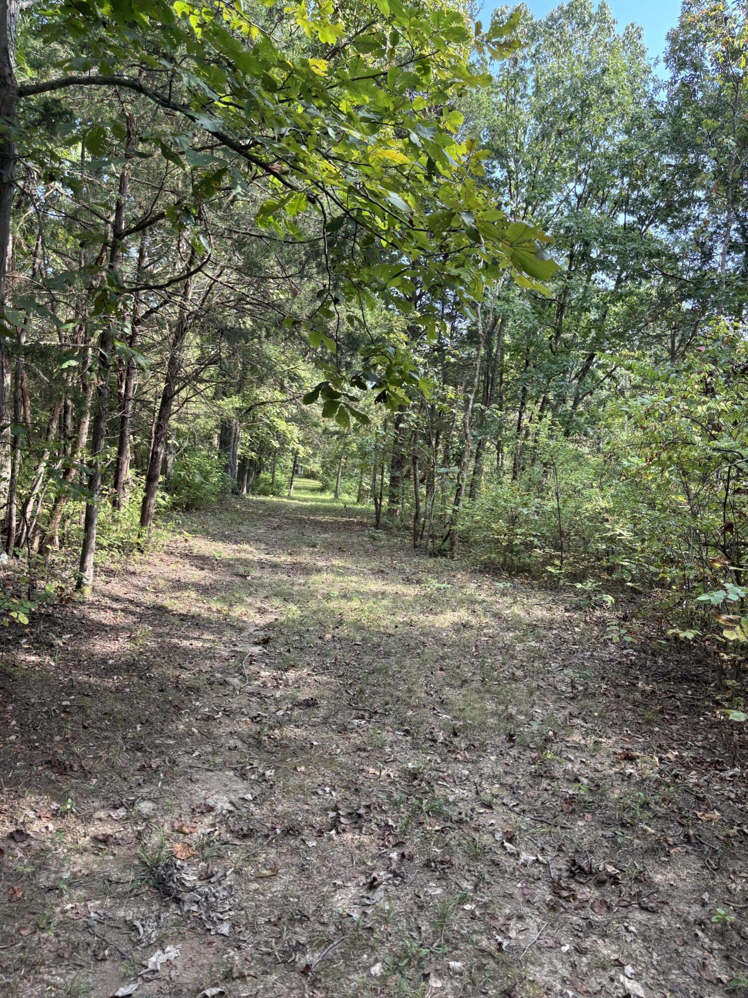 0 0 Hogg Ridge Road Property Photo 10