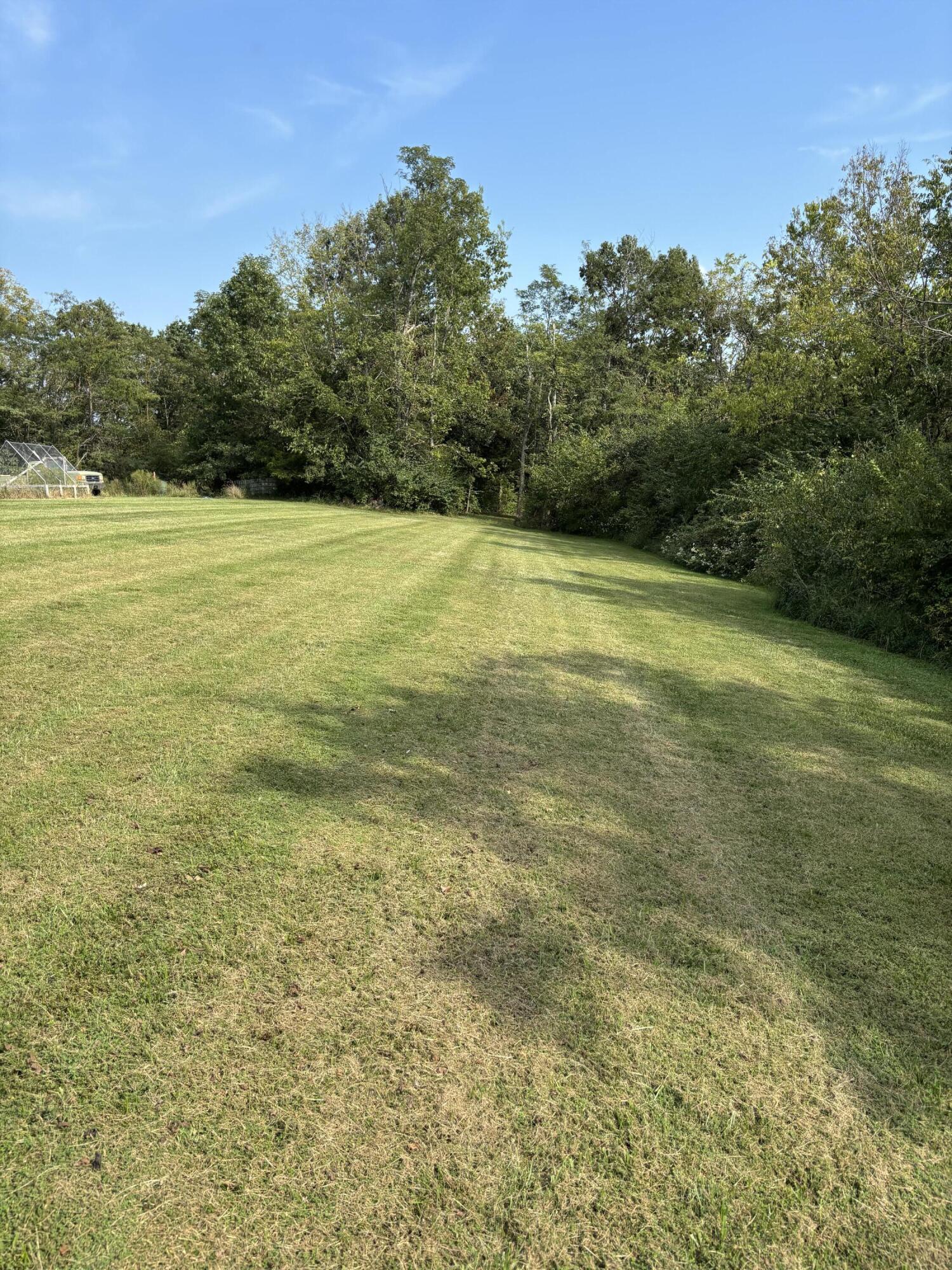 0 0 Hogg Ridge Road Property Photo 11