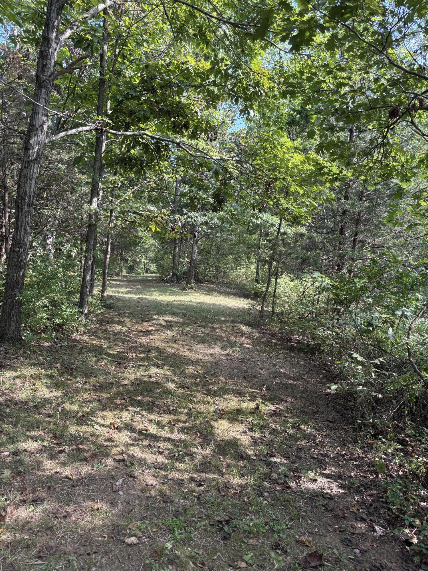 0 0 Hogg Ridge Road Property Photo 12