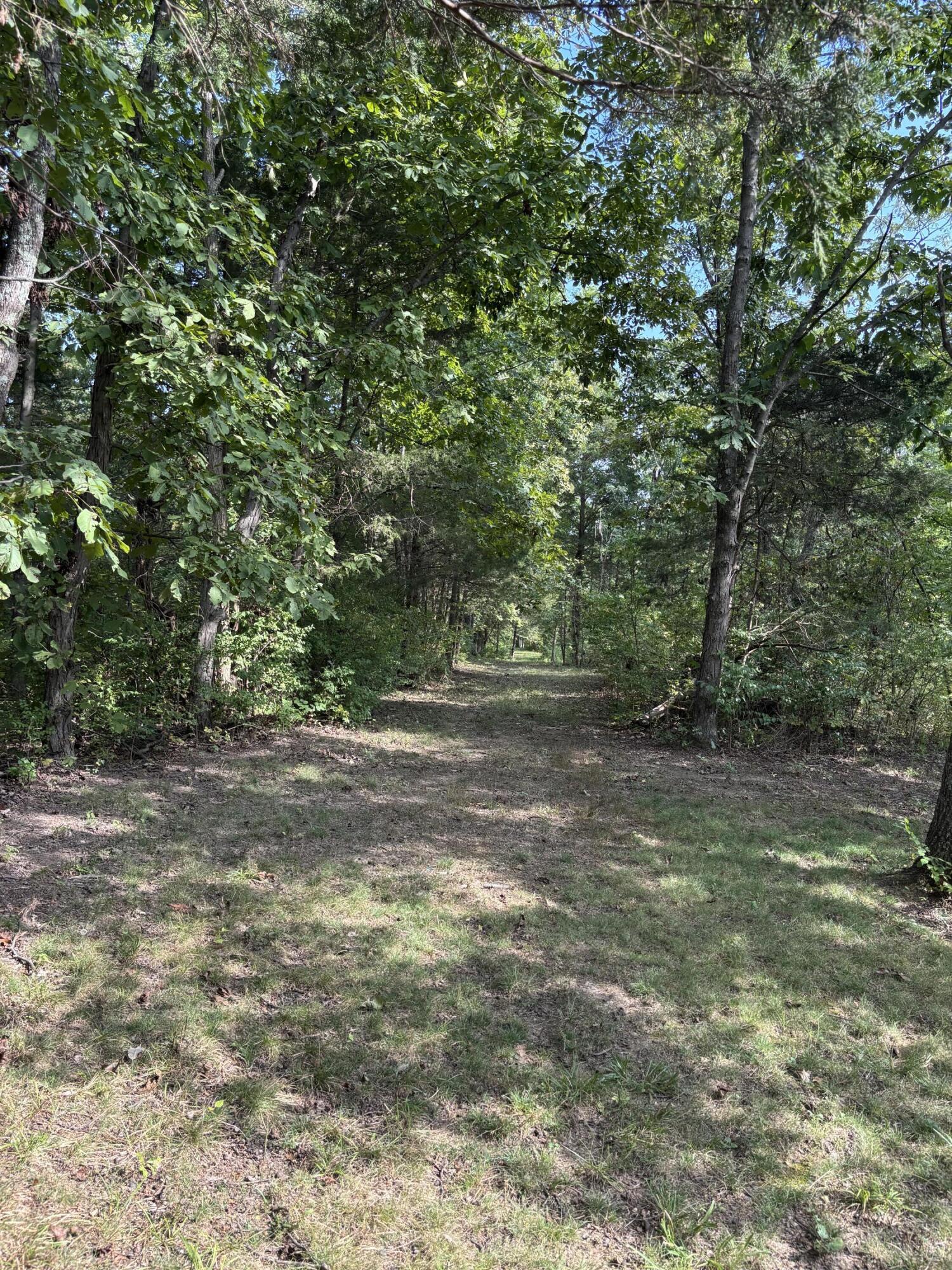 0 0 Hogg Ridge Road Property Photo 13