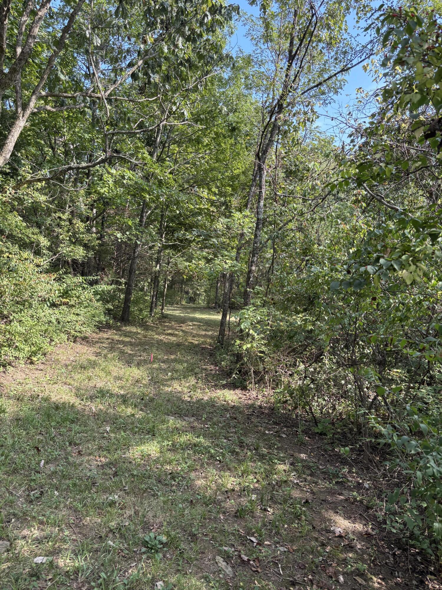 0 0 Hogg Ridge Road Property Photo 15
