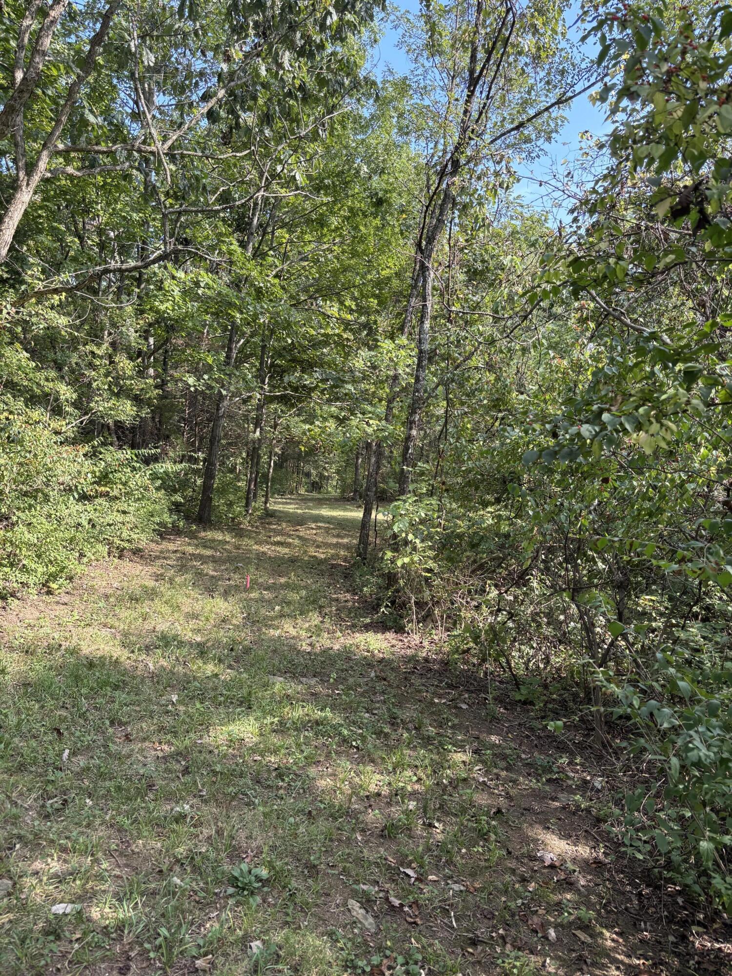0 0 Hogg Ridge Road Property Photo 17