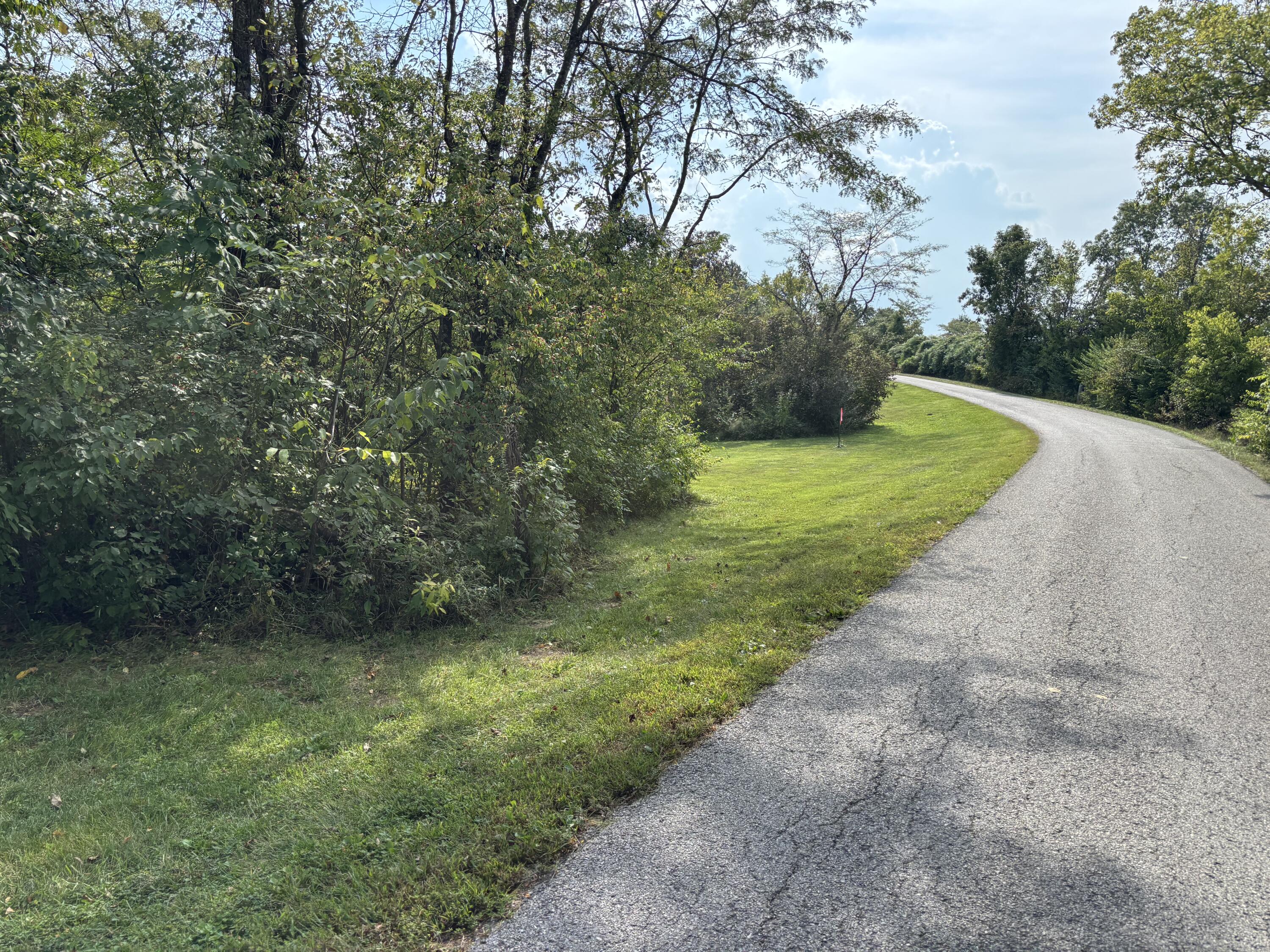 0 0 Hogg Ridge Road Property Photo 18