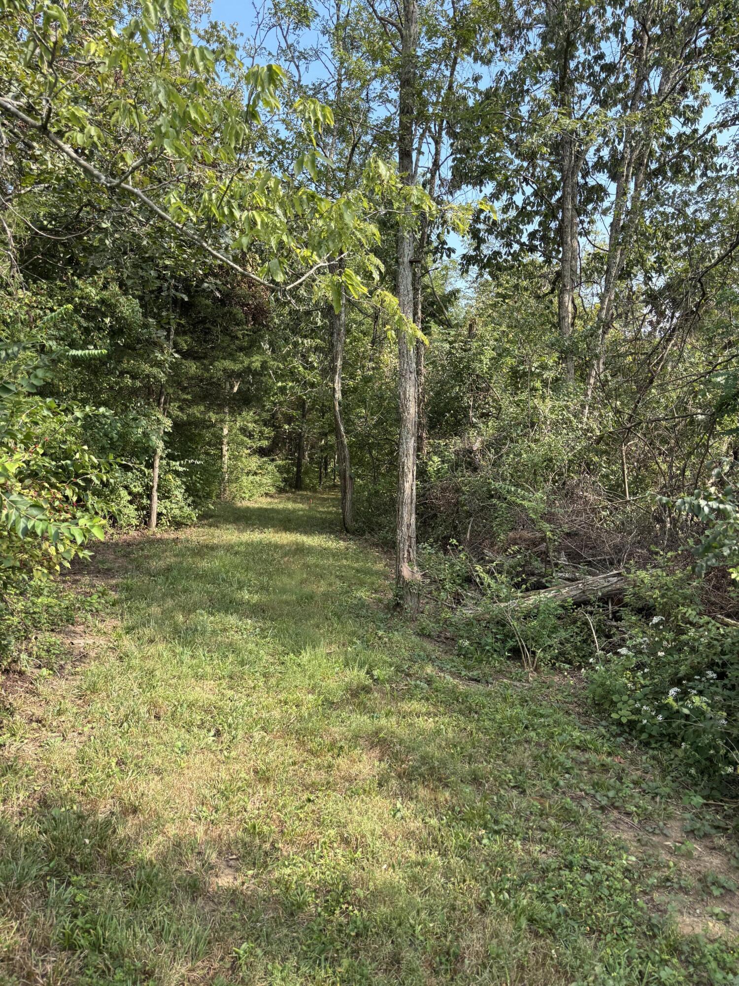 0 0 Hogg Ridge Road Property Photo 19