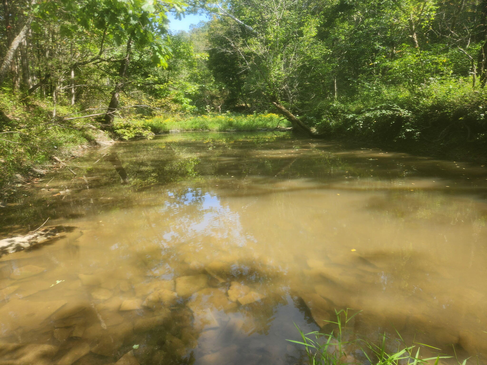 0 0 Hogg Ridge Road Property Photo 46