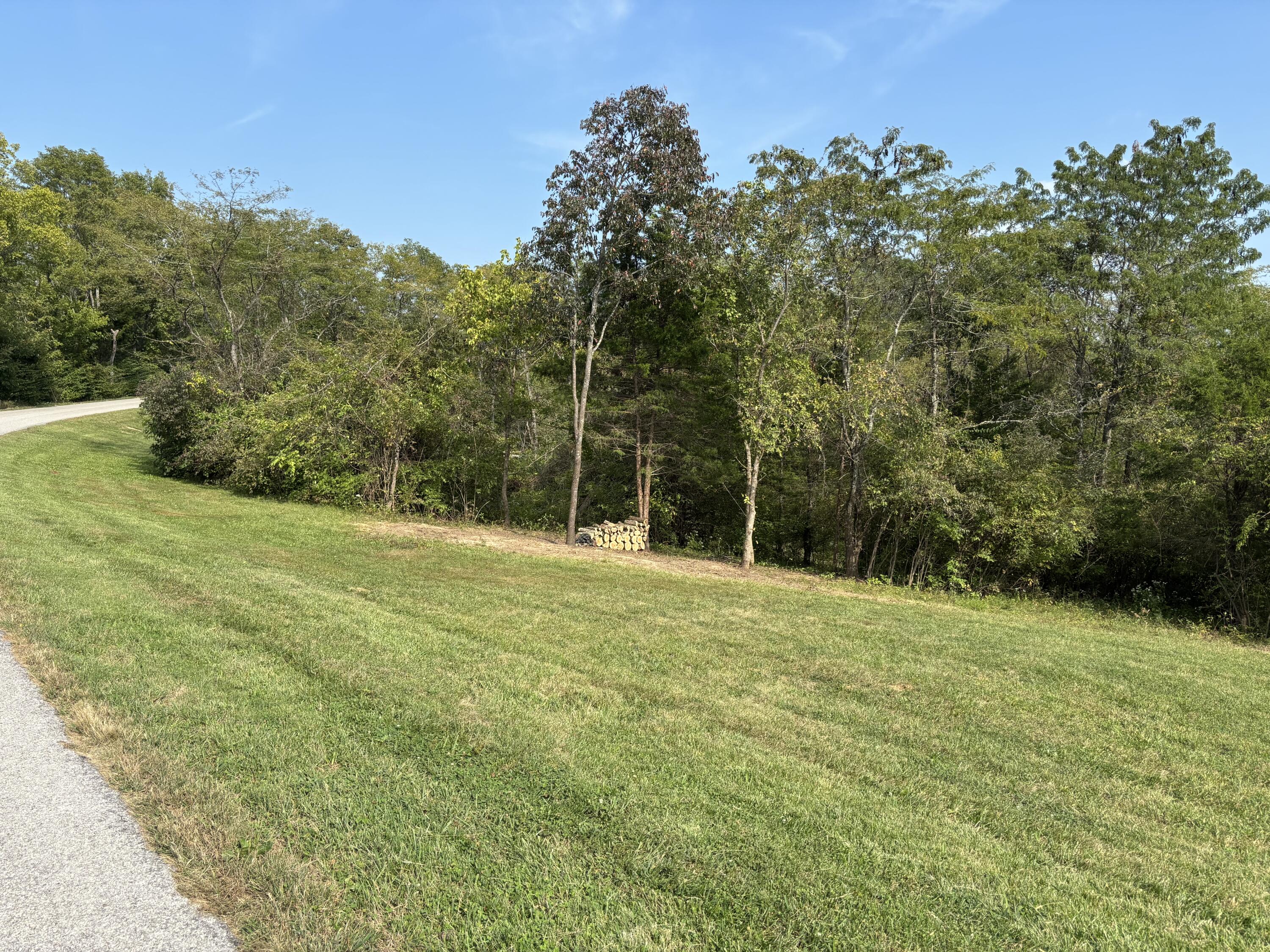 0 0 Hogg Ridge Property Photo 3