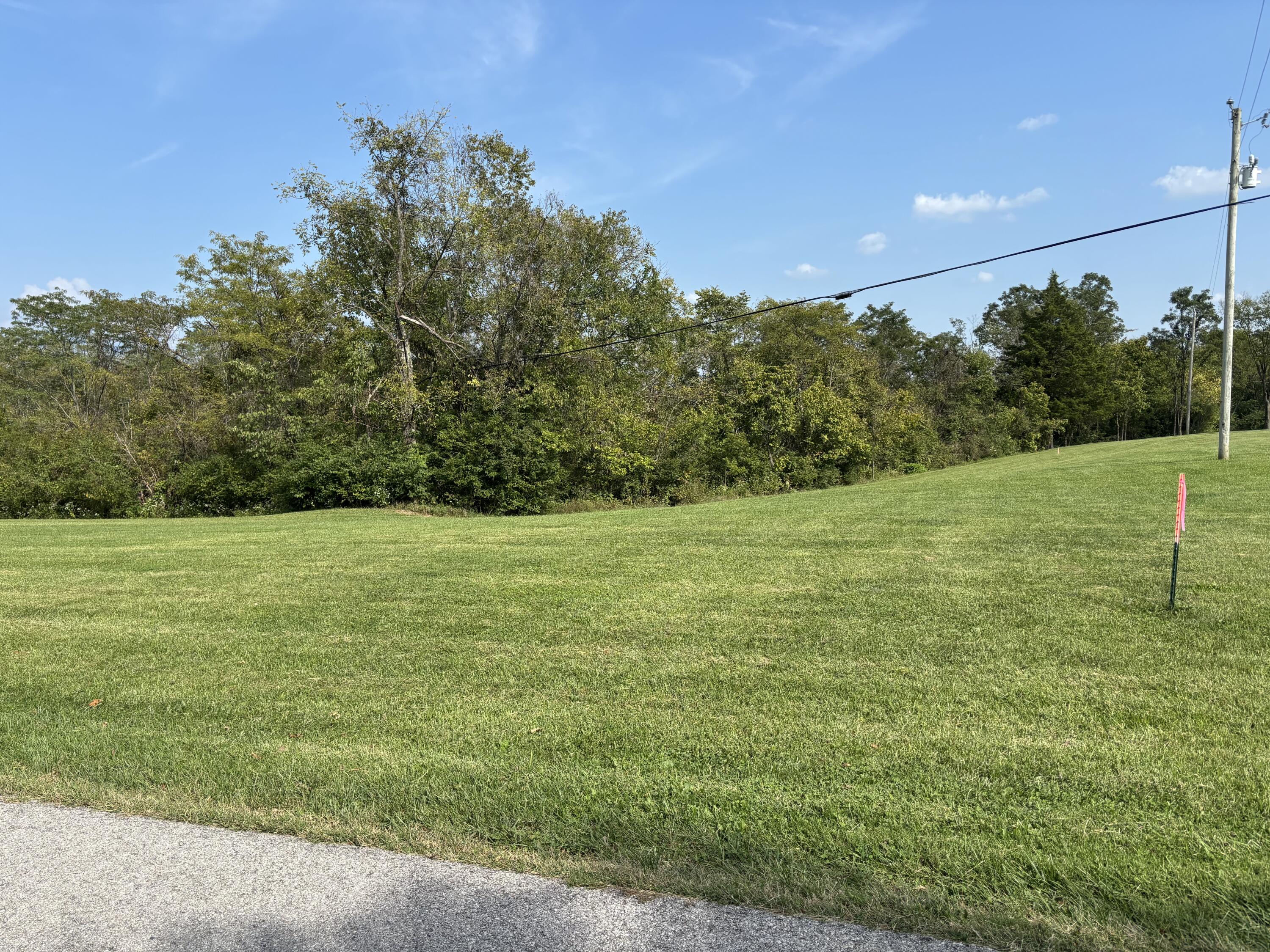 0 0 Hogg Ridge Property Photo 4