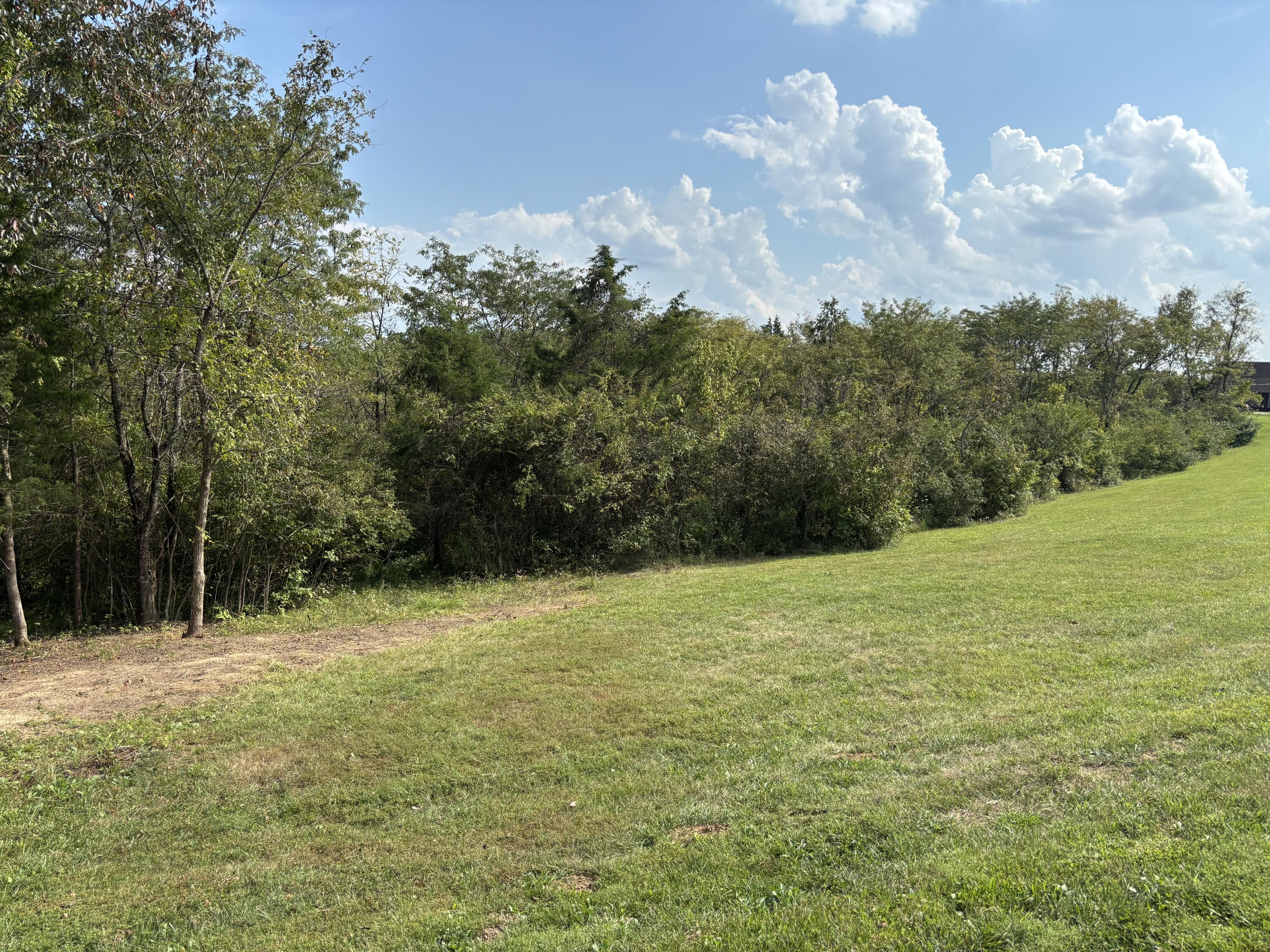 0 0 Hogg Ridge Property Photo 5